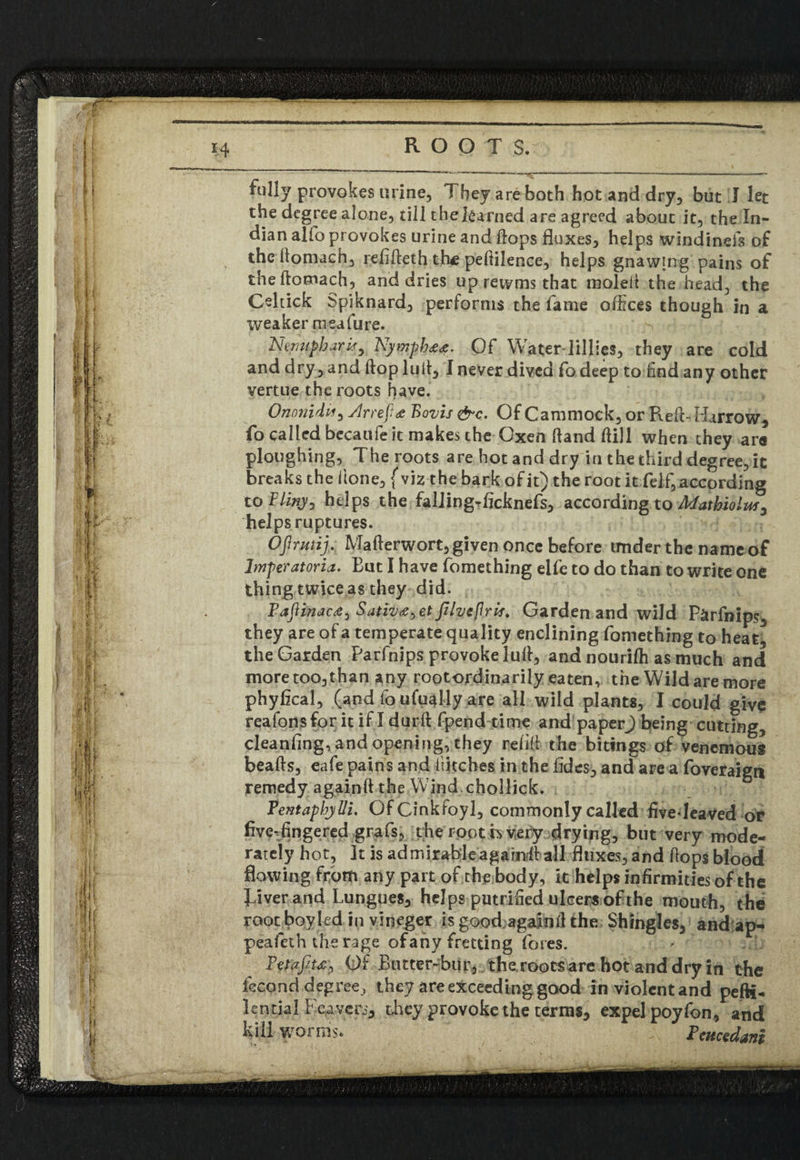 fully provokes urine. They are both hot and dry, but I let the degree alone, till the learned are agreed about it, the In¬ dian alfo provokes urine and Hops fluxes, helps windinefs of the flomach, refifteth the pefiilence, helps gnawing pains of theftotnach, and dries up rewms that moled the head, the Celtick Spiknard, performs the lame offices though in a weaker meafure. ^ Nemipharif, Nymph**. Of Water lillies, they are cold and dry, and flop lull, 1 never dived fodeep to End any other vertue the roots have. Onmiidu, yJrrep* Bovis &c. Of Cammock, or Refl- Harrow, fo called becaufe it makes the Oxen ftand flill when they are ploughing, The roots are hot and dry in the third degree, it breaks the done, { viz the bark of it) the root it felf, according to Pliny? helps the falling-ficknefs, according to Mathiolm^ helps ruptures. Ofirutij. Mafterwort, given once before under the nameof bnperatoria. Eut I have fomething eUe to do than to write one thing twice as they did. Pafiinac*? Sativ*,et Jilveflrif. Garden and wild P&rfnips, they are of a temperate quality enclining fomething to heat the Garden Parfnips provoke lull, and nourilh as much and more too, than any rootordinarily eaten, the Wild are more phyfical, (and foufually are all wild plants, I could give reafonsfor itifldurft fpend time and paperj being cutting, cleanfing, and opening, they relid the bitings of venemous beafls, eafe pains and ditches in the fldes, and are a foveraign remedy againft the Wind.chollick. Tentaphylli. Of Cinkfoyl, commonly called five*leaved or five-fingered grafs, the root h very drying, but very mode¬ rately hot, It is admirable againd all fluxes, and flops blood flowing from any part of the body, it helps infirmities of the River and Lungues, helps putrified ulcers of the mouth, the root boy led in vineger is goodagainfl the Shingles, and ap- peafeth the rage ofany fretting fores. P via fit*? Of Butter-bur, the roots are hot and dry in the fecond degree, they are exceeding good in violent and pefti- lential Feavers, they provoke the terms, expel poyfon, and kill worms* Pencedani