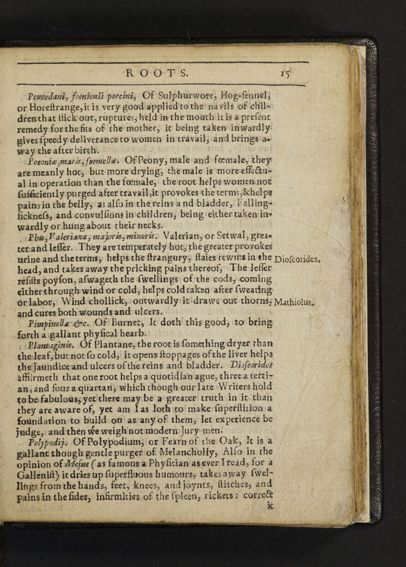 Feucedanij foenkuli porcini^ Of Sulphurwort, HogTenncl, or Horeflrange,it is very good applied to the navils of chil¬ dren that Hick out, ruptures, held in the mouth it is a prefent remedy for the fits of the mother, it being taken inwardly gives fpeedy deliverance to women in travail, and brings a* way the after birth. Foeonidi^marksfoemelld. Of Peony, male and focmale, they are meanly hot, but more drying, the male is more effcdu- al in operation than the focmale, the root helps womenmot fufftciendy purged after travail,it provokes the terms,8thelps pains in the belly, as alfo in the reins a nd bladder. Falling- licknefs, and convulsions in children, being either taken in* wardly or hung about their necks. FbujVdlerian*, majork^minem. Valerian, or Setwal, grea¬ ter and lefler. They are temperately hot, the greater provokes urine and the terms, helps the ftrangury, ftaies rewms in the Diofcoiides* head, and takes away the pricking pains thereof, The lefler refifts poyfon, afwageth the fwcllings of the cods, coming either through wind or cold, helps cold taken after fweating or labor, Wind choliick, outwardly it draws out thorns, Mathiolus. and cures both wounds and ulcers. Fimpinell* &c. Of Burnet, It doth this good, to bring forth a gallant phyfical hearb. Flantagink. Of Plantane, the root is fomething dryer than the leaf, but not fo cold, it opens floppages of the liver helps the Jaundice and ulcers of the reins and bladder. Diofcorides affiirmeth that one root helps a quotidian ague, three a terti¬ an, and four a quartan, which though our late Writers hold to be fabulous, yet there maybe a greater truth in it than they are aware of, yet am las loth to make fuperftition a foundation to build on as any of them, let experience be judge, and then we weigh not modern Jury men. Folypodij. Of Polypodium, or Fearnof the Oak, It is a gallant though gentle purger of Melancholly, Alfo in the opinion of Mefue (as famous a Phyfitian as ever I read, for a Gallenift) it dries up fuperfluous humours, takes away fwel- lings from the hands, feet, knees, andjoynts, flitches, and pains in the fides, infirmities of the fpleen, rickets: corre&