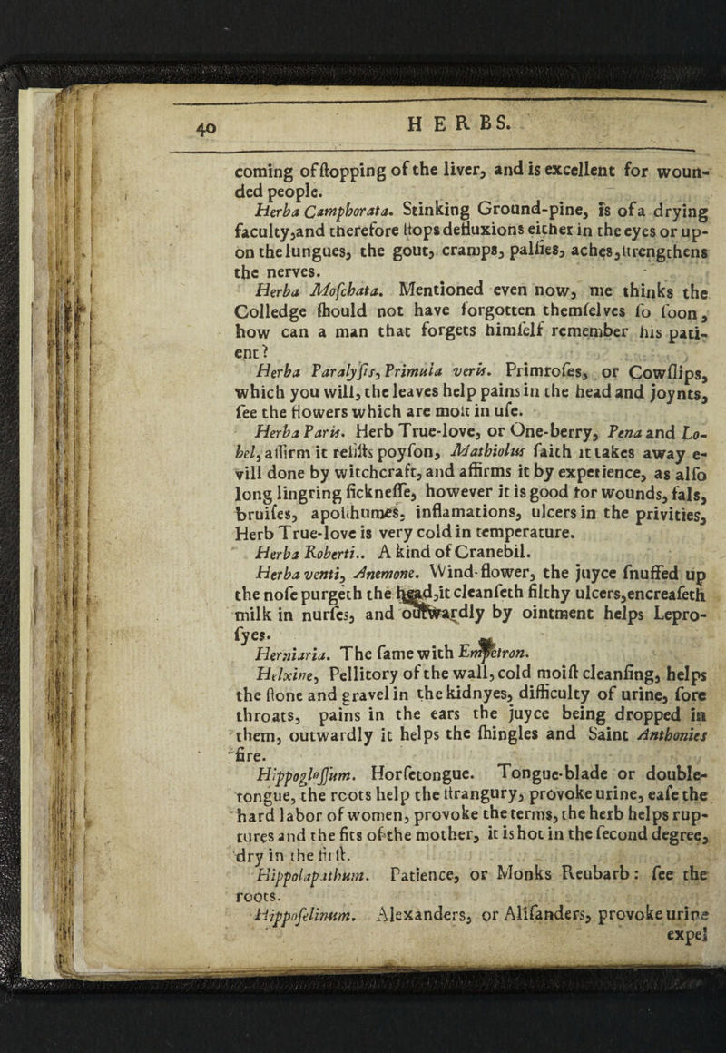 coming offtopping of the liver, and is excellent for woun- , ded people. Herb a C&mpborata. Stinking Ground-pine, is of a drying faculty,and therefore ttopsdefluxions either in the eyes or up¬ on the lungues, the gout, cramps, palfies, aches,ltrengthens F; a the nerves. - [ Herba Mofcbata. Mentioned even now, me thinks the Colledge fhould not have forgotten themfelves fo foon, how can a man that forgets himfelf remember his pati¬ ent t Herba Paralyfis, Primula veris. Primrofes, or Cowflips, which you will, the leaves help pains in the head and joynts, fee the flowers which are molt in ufe. Herba Paris. Herb True-love, or One-berry, Pena and to- affirm it refills poyfon, Mathiolns faith it takes away e- vill done by witchcraft, and affirms it by experience, as alfo long lingring ficknelfe, however it is good for wounds, fals, bruifes, apolihumes, inflamations, ulcers in the privities. Herb True-love is very cold in temperature. Herba Roberti.. A kind of Cranebil. Herbaventi} Anemone. Wind-flower, the juyee fnuffed up the nofe purgeth the l^ad,it clcanfeth filthy ulcers, encreafech milk in nurfes, and outwardly by ointment helps Lepro- fyes. Hemiaria. The fame with Errifetron. Htlxwe, Pellitory of the wall, cold moift cleanfing, helps the Oone and gravel in thekidnyes, difficulty of urine, fore throats, pains in the ears the juyee being dropped in them, outwardly it helps the ffiingles and Saint Anthonies 'fire. Hippogb’ffum. Horfetongue. Tongue-blade or double¬ tongue, the roots help the itrangury, provoke urine, eafe the 'hard labor of women, provoke the terms, the herb helps rup¬ tures and the fits of the mother, it is hot in the fecond degree, dry in the fir ft. Hippolapatbum. Patience, or Monks Pveubarb: fee the roots. hippofelimsm. Alexanders, or Alifanders, provoke urine expel