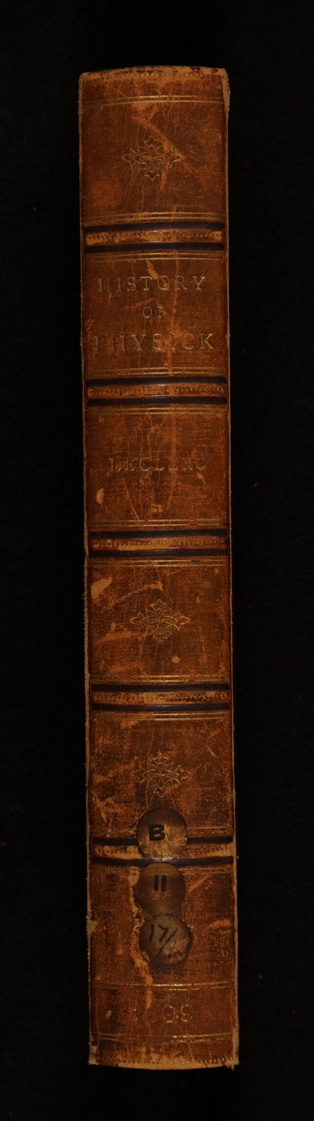 No text description is available for this image