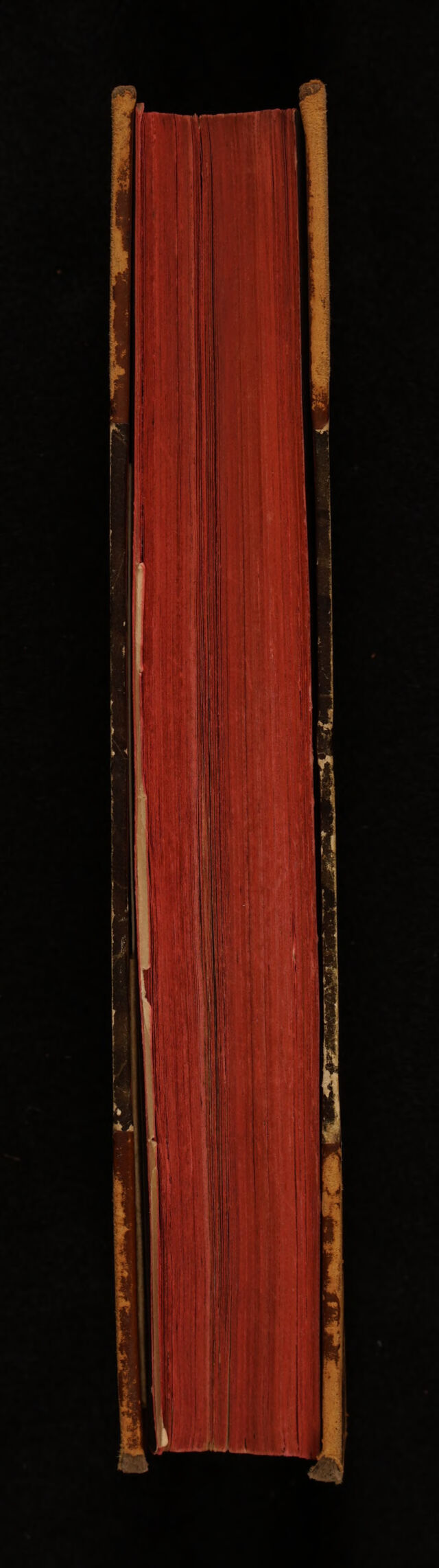 No text description is available for this image