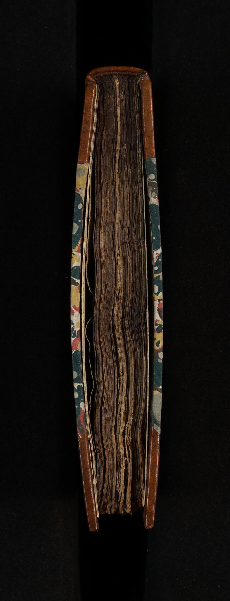 No text description is available for this image