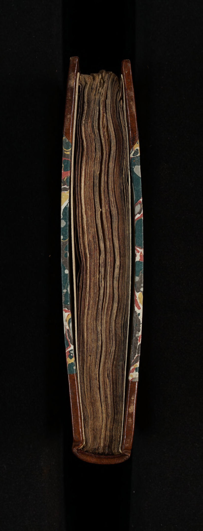 No text description is available for this image