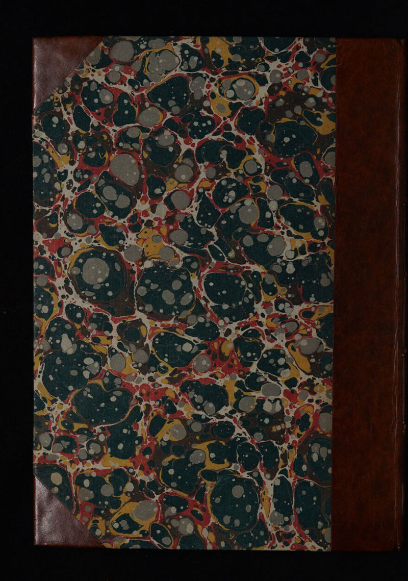 No text description is available for this image