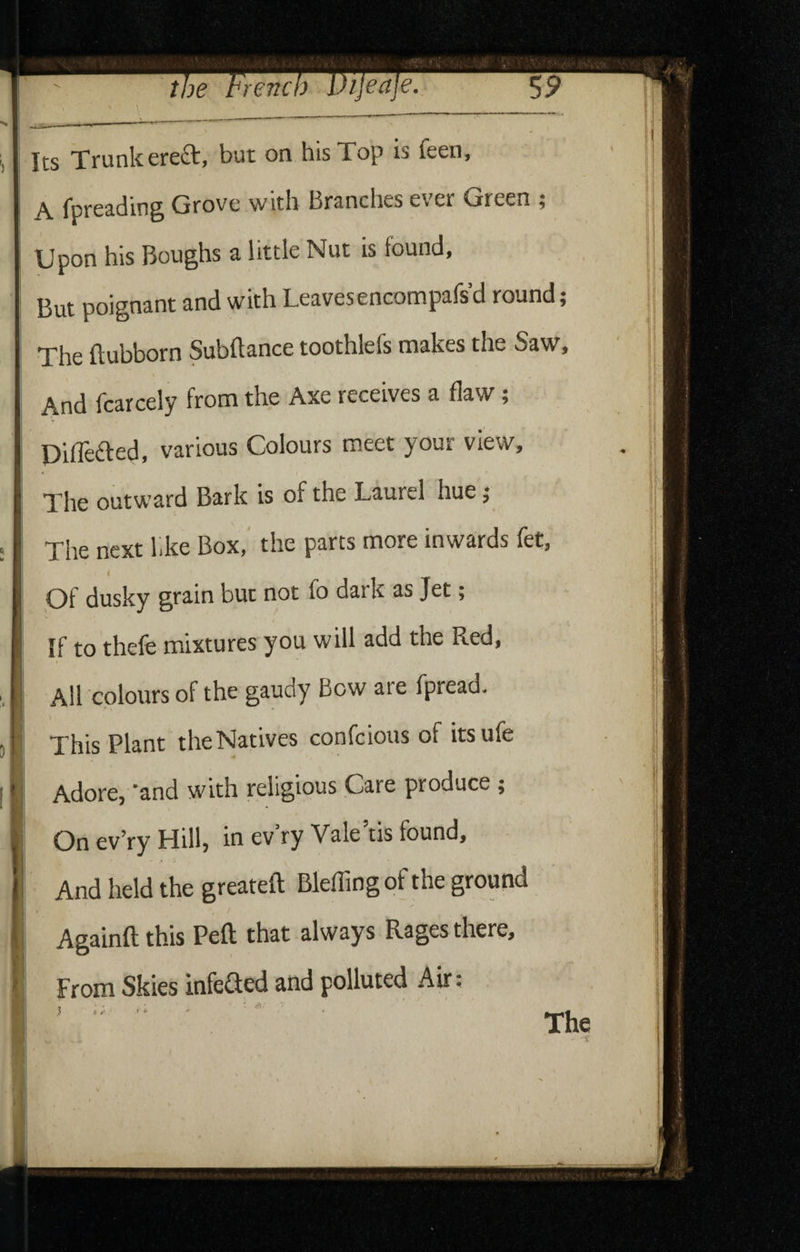 Its Trunkereft, but on his Top is feen, A fpreading Grove with Branches ever Green ; Upon his Boughs a little Nut is found. But poignant and with Leavesencompafs’d round; The ftubborn Subfiance toothlefs makes the Saw, And fcarcely from the Axe receives a flaw; Differed, various Colours meet your view. The outward Bark is of the Laurel hue ; The next like Box,' the parts more inwards fet, I Of dusky grain but not fo dark as Jet; Tf m'tvnires YOU will add the Red,