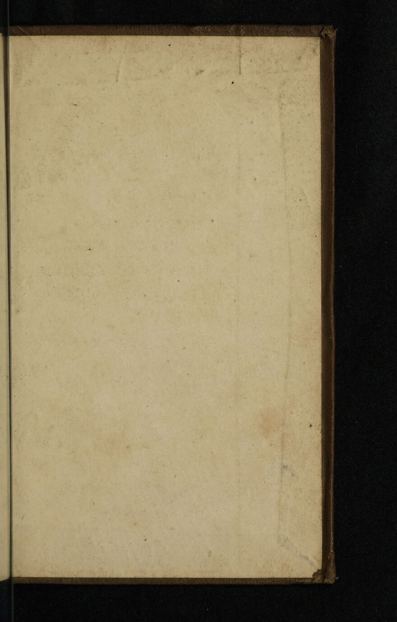 \ > / .N:* , , i(C . .V. ...