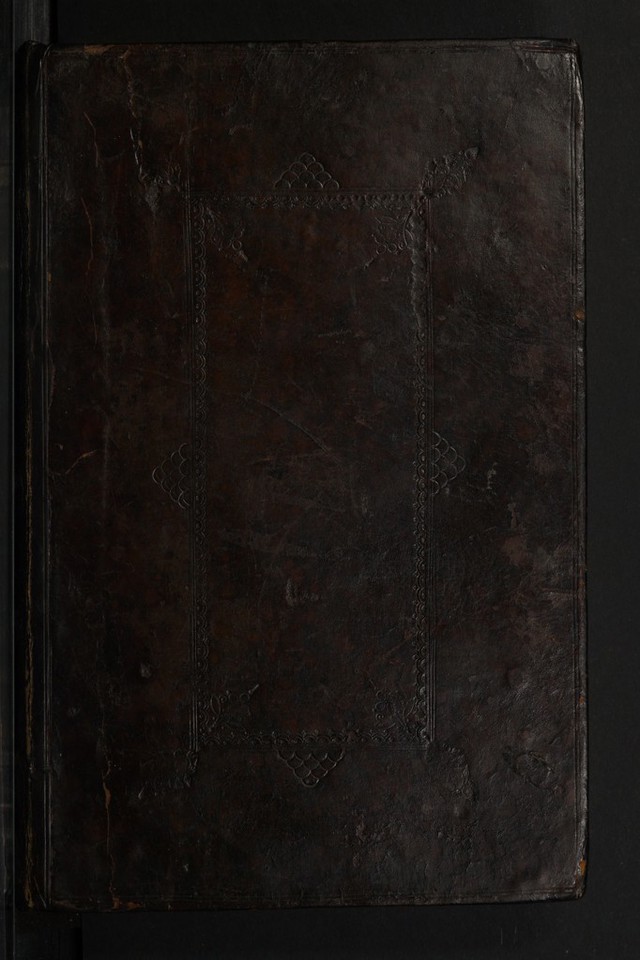 No text description is available for this image