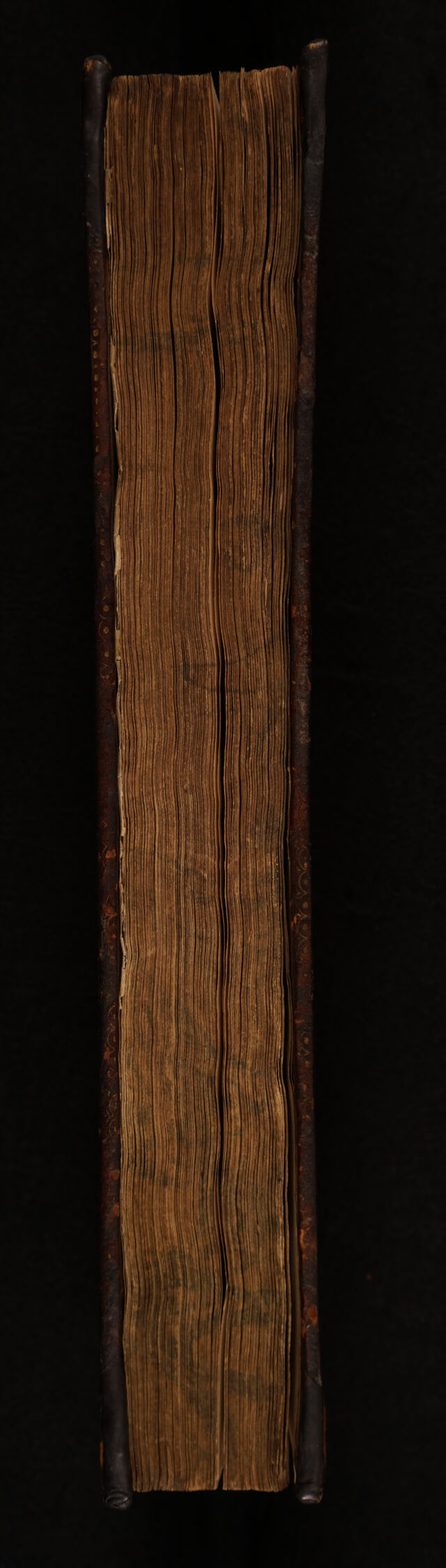 No text description is available for this image