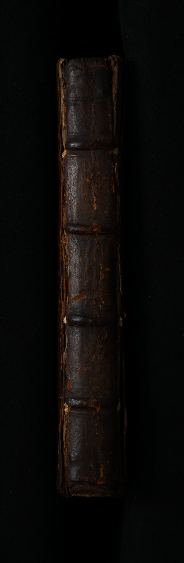 digitised image 2