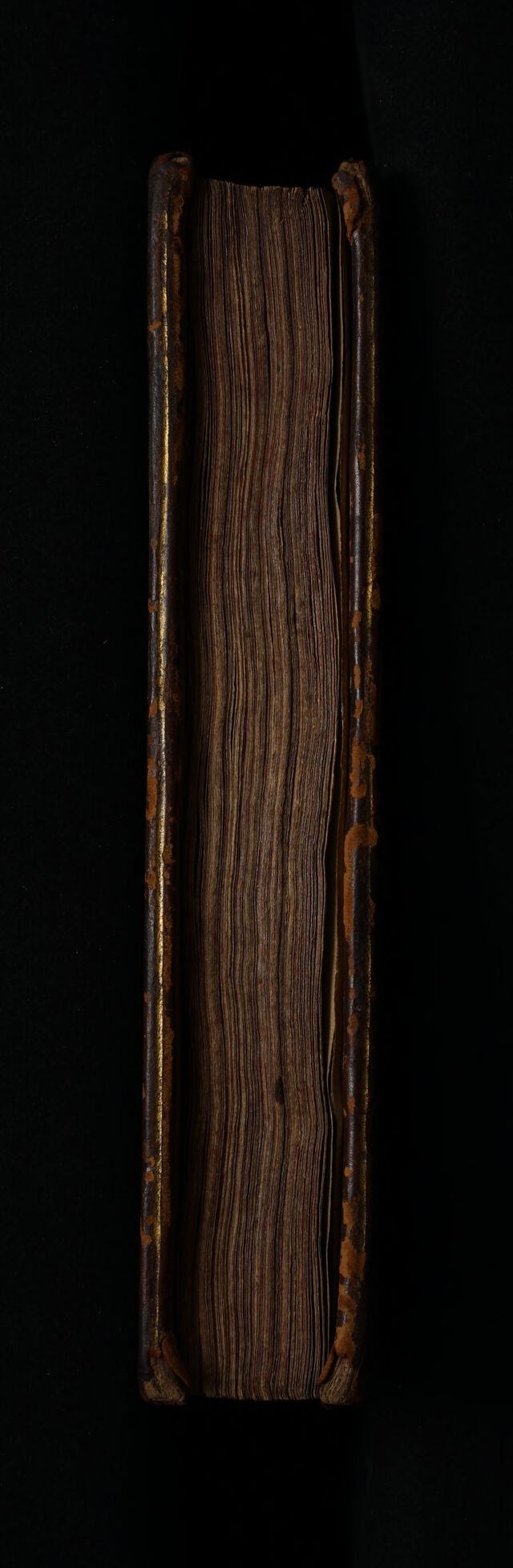 digitised image 3