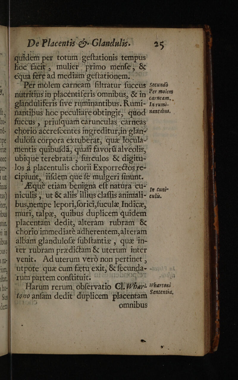 De Placentis c Glandulis. a6 uidens per totum. geftationis tempus | hoc facit, mulier. primo menfe; &amp; | equa fefe ad median geftationem. ' ' |. Pér molem carrieam 'filtratur füccüs seb nütritius in placentiferis omnibus, &amp; in diei | glinduliferis five rüminantibus. Rumi- Lrrumi- hantibus hoc peculiate obtingit; quod: »atw. füccus , priufquam carunculas 'cárneas chorio accrefcentes ingreditur;in'glan- dulofà córpora extuberát, qux Toculá- mientis quibufdà, quafi B vor alveolis, | ubique terebrata-; furculos &amp; digitu- | los à placentulis chorii Exporrectos re- cipiunt, iifdem que fe mulgeri finunt. | JEque etiam benigna eft natura cu- ,, | niculis j. ut &amp; aliis illius claffis ániniali- cuia. bus,nempe lepori,forici,fuculz Indica, | muri, talpe, quibus duplicem quidem | placentàm dedit, alteram. rubram &amp; n| chorioimmediaté adherentem,alteram albam glandulofz fubftantie , quz in- ter rübram praedictam &amp; uterum inter | venit. Aduterum vero non pertinet , utpote qua cum fztu exit, &amp; fecinda- - rut partem conftituit. M Harum rerum, obférvatio Gt Whbar: Wharton 1070 anfam dedit duplicem 'placentam ER omnibus bt A Rh cement Gate ta dadkmesin(v Meet n emet m wwe m 2