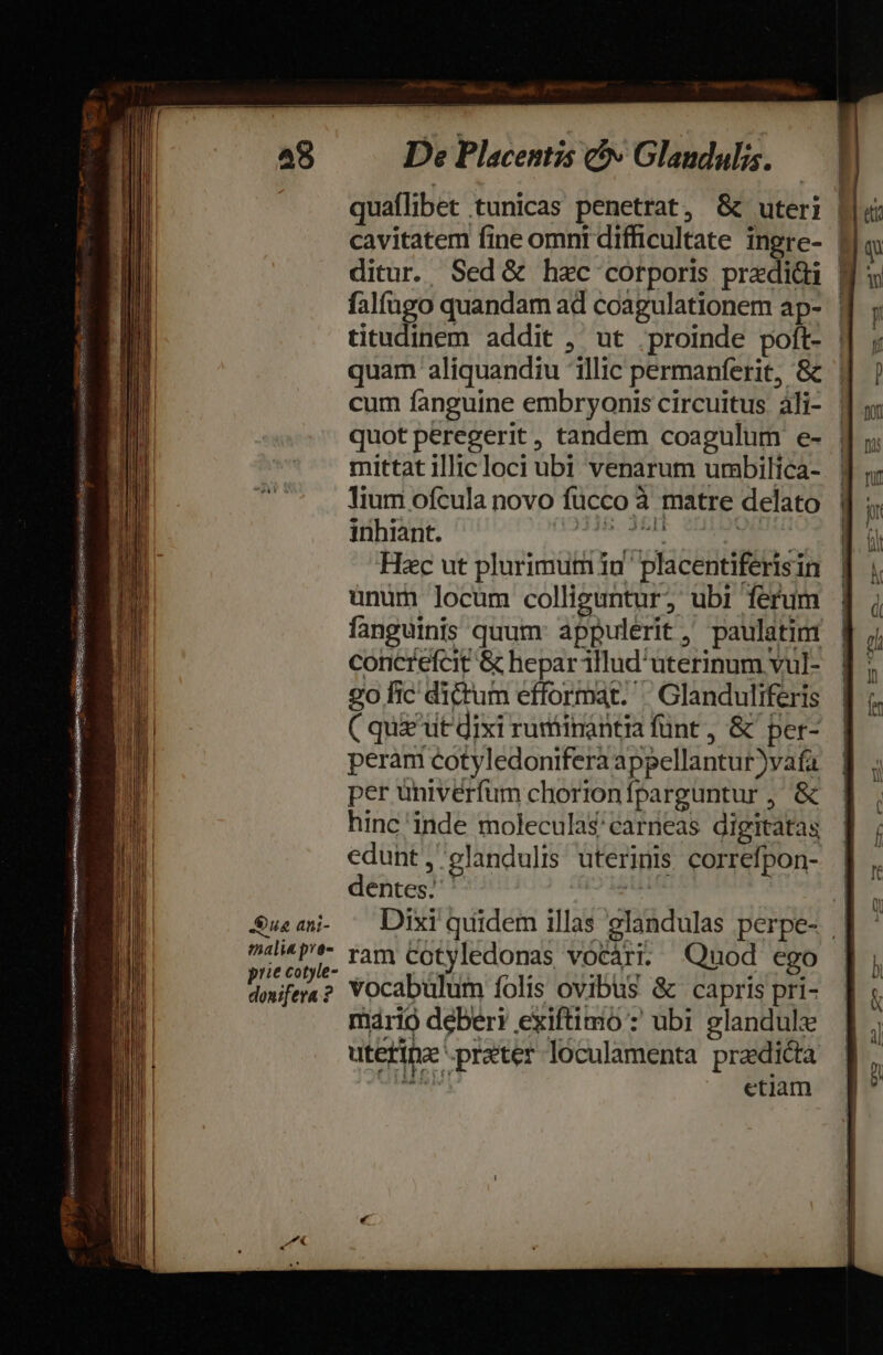 EEEgssEsUmqusN sq tunuensenps tuisse Cesescsitsueaeius camus GUCNIRANISSENI T IESqQE ÜNNEMSER NC cuesciceiesscagen NS RUD e a d e EL MM EE D E E -$ua ani- malia pra- prie cotyle- donifera ? De Placentis &amp;v Glandulis. quaflibet tunicas penetrat, &amp;c uteri | cavitatem fine omni difficultate ingre- | ditur. Sed&amp; hxc corporis predi&amp;i | falfugo quandam ad coagulationem ap- | titudinem addit , ut proinde poft- | quam aliquandiu illic permanferit, &amp; | cum fanguine embryonis circuitus àli- quot peregerit, tandem coagulum e- mittat illicloci ubi venarum umbilica- Tium ofcula novo fücco à matre delato inhiant. pisi de: YXCU Hac ut plurimumin placentiferisin unum locum colliguntur; ubi ferum fanguinis quum: appulerit , paulatim concrefcit &amp; hepar illud'uterinum vul- 2o fic dictum efformat. | Glanduliferis ( qua ut dixi ruminantia fünt , &amp; per- peram cotyledonifera appellantur)vafa per univerfum chorionfparguntur , &amp; hinc inde moleculascarneas digitatas edunt , elandulis uterinis correfpon- dentes; * ^ | Dixi quidem illas elandulas perpe- || ram Cotyledonas vocàri. Quod ego vocabulum íolis ovibus &amp; capris pri- mário deberi exiftimo : ubi glandule uterine -prater loculamenta predicta A etiam