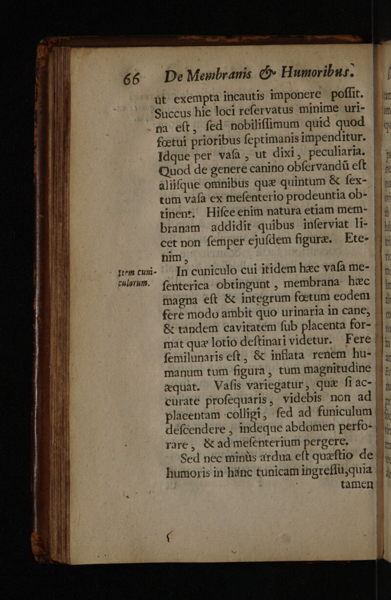 &amp;&amp;.. DeMenbramis C Humoribus; | üt exempta incautis imponere poffit. Succus hic loci refervatus minime uri- | fcetui prioribus feptimanis impenditur. Idque per vafa , ut dixi; peculiaria. Quod de genere canino obfervandü eft | tinent, Hifceenim natura etiam mem- | branam addidit quibus inferviat li- | cet non femper ejufdem figure. — Ete- nim, pn cmi- Tn cuniculo cui itidem hec vafa me- | WdeÜWÜ. (enterica obtingunt , membrana hac | magna eft &amp; integrum foetum eodem | fere modo ambit quo urinaria in cane; | &amp; tandem cavitatém füb placenta for- mat quz lotio deftinari videtur. Fere femilunaris eft, &amp; inflata renem hu- | manum tum figura, tum magnitudine | curate profequaris, videbis non ad | placentam colligi, fed ad funiculum | défcendere ; indeque abdomen perfo- | rare, &amp;admefenterium pergere. | Sed nec miniis ardua eft quaftio de: hurnoris in hinc tunicam ingreffu,quia | tamen | | 1 | | | | | ! D 1 !