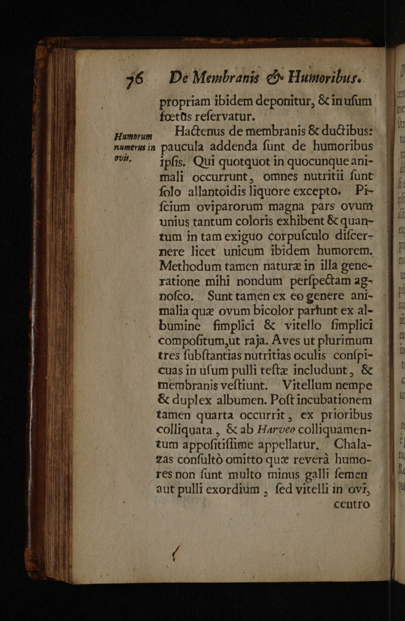  MENSEM A USt EAE Lese poe co vespa Zio OF RAN me 36 | De Membranis &amp; Humoribur. ptopriam ibidem deponitur, &amp;inufum focttis refervatur. Huwyus . Hactenus de membranis &amp; du&amp;ibus: ^^ ^ jpfis. Qui quotquot in quocunque ani- mali occurrunt, omnes nutritii funt folo allantoidis liquore excepto. Pi- Ícium oviparorum magna pars ovunt unius tantum coloris exhibent &amp; quan- tum in tam exiguo corpuículo diícer- nere licet unicum ibidem humorem. Methodum tamen natura in illa gene- ratione mihi nondum perípedtam ag- nofco. Sunttamen ex co genere ani- malia quz ovum bicolor partunt ex al- bumine fimplici &amp; vitello fimplici compofitum,ut raja. Aves ut plurimum tres fubftantias nutritias oculis. conípi- cuas in ufum pulli tefte includunt, &amp; membranis veftiunt. Vitellum nempe &amp; duplex albumen. Poft incubationem tamen quarta occurrit, ex prioribus colliquata , &amp; ab Harveo colliquamen- tum appofitiffime appellatur, ^ Chala- £as confultó omitto qux revérà humo- res non funt multo minus galli femen aut pulli exordium , fed vitelli in ovr, centro