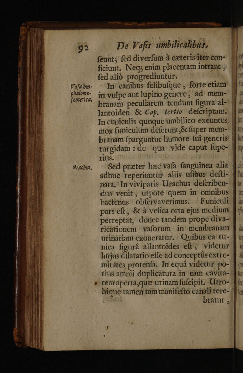 ke QS GESEWASEN TUS ie Go uio Ip SS NER NEM NU Rex Deest aee Le SprSaetpos e 92 Vafa bm- phalome- fentexica, V rathus, licalbus. I1uS. ricationem vaforum ürináriam exonerátur. in membranam ] à Quibüs ea tu- f x mitates protenfa. In e quà videtur po- fo: bique tamen támmani fefto canali tere- fn bratur ,.]