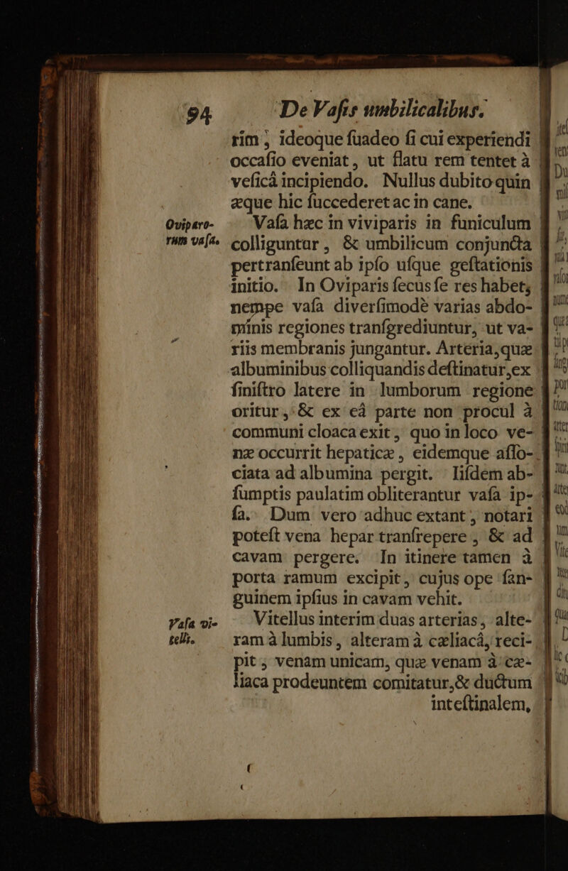 sor C REESE TUS Ud eedi ase tei RA. EA NES PIS Sen » gestus quos cenam puegseseni set tiene o 94 Oviparo- rum va[a, Vafa vi tell. De Vaf umbilicalibus. | rim , ideoque füadeo fi cui experiendi 1 occafio eveniat, ut flatu rem tentet à | veficà incipiendo. Nullus dubitoquin | $ eque hic fuccederetac in cane. : Vafa hec in viviparis in funiculum |  colliguntar , &amp; umbilicum conjunda f ^ pertranfeunt ab ipfo ufque geftationis | 4 initio. In Oviparis fecusfe res habet; | nempe vaía diverfimodé varias abdo- d^ mrinis regiones tranfgrediuntur, ut va- ff^ riis membranis jungantur. Arteria,quze f: finiftro latere in lumborum regione 1 : ^ x M un oritur,.&amp; ex eà parte non procul à communi cloaca exit, quo inloco ve- | n nz occurrit hepatice , eidemque affo-.] ' ciata ad albumina pergit. lifdemab- [ ' fumptis paulatim obliterantur vafa ip- 3 fa.; Dum vero adhuc extant , notari ] poteft vena hepar tranfrepere ; &amp; ad | cavam pergere. [n itinere tamen à | porta ramum excipit, cujus ope fan- guinem ipfius in cavam vehit. l Vitellus interim duas arterias, alte- | ram à lumbis, alteram à czliacá, reci- |] D pit; venam unicam, quz venam à;ca- f liaca prodeuntem comitatur,&amp; ductum /] ! inteftinalem, | |