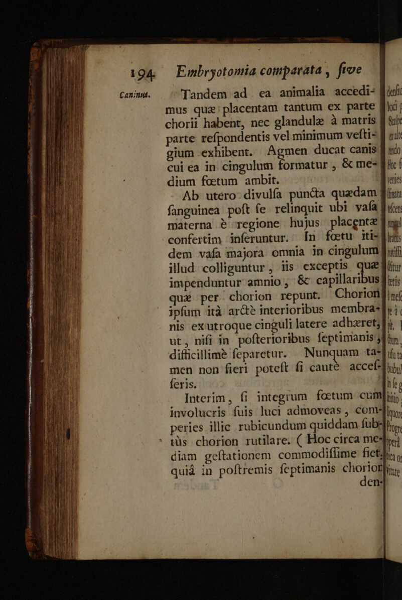 GIU ANT ONNESISTRUR oeecei cet cesarea nU Caninu. mus quz; placentam tantum ex parte | chorii habent, nec glandule à matris. gium exhibent. Agmen ducat canis | cui ea in cingulum formatur , &amp; me- dium fetum ambit. | Ab utéro-divulía puncta quedam | materna e regione hujus placenta confertim inferuntur. [n foetu iti-| dem vafa majora ommia in cingulum. illud. colliguntur, iis exceptis qua impenduntur amnio , &amp; capillaribus, qua per. chorion repunt. Choriori, JENA Y ipfam ità ar&amp;e interioribus membra-| n So Ido lc f (nata fingi Iris hf utor ftti imeí ut, nifi in pofterioribus feptimanis jj difficillime feparetur. Nunquam ta men non fieri poteft fi caute accef* feris.  Interim, fi integrum foetum cum hfe Iitio | Opt