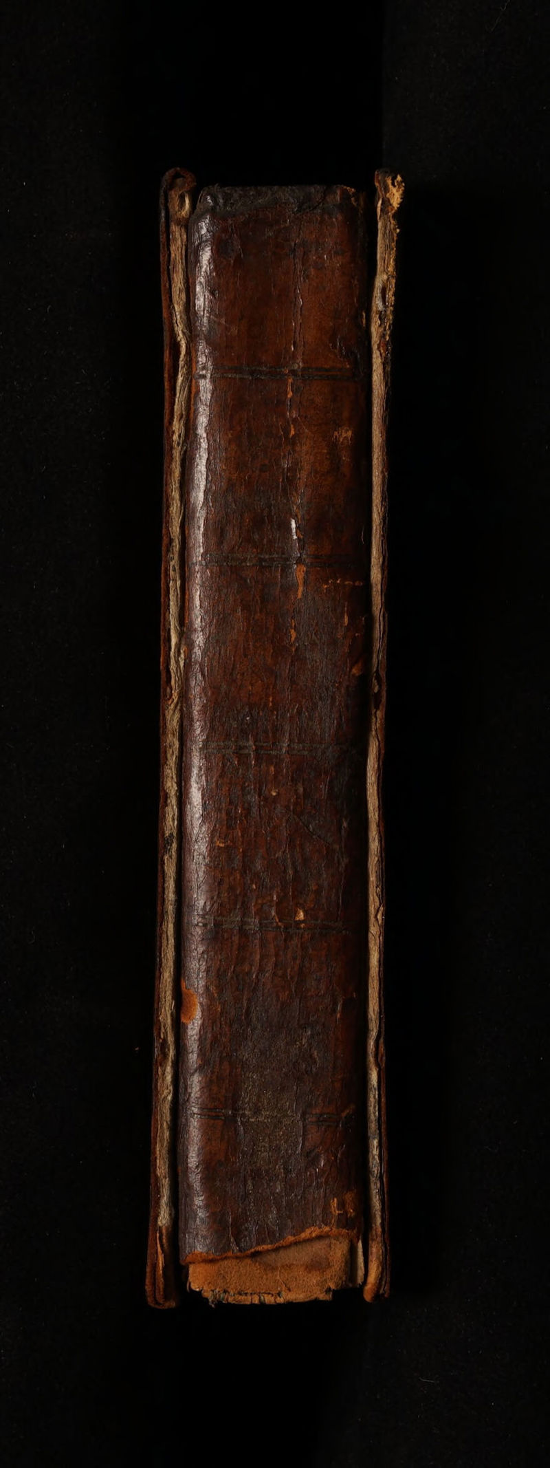 No text description is available for this image