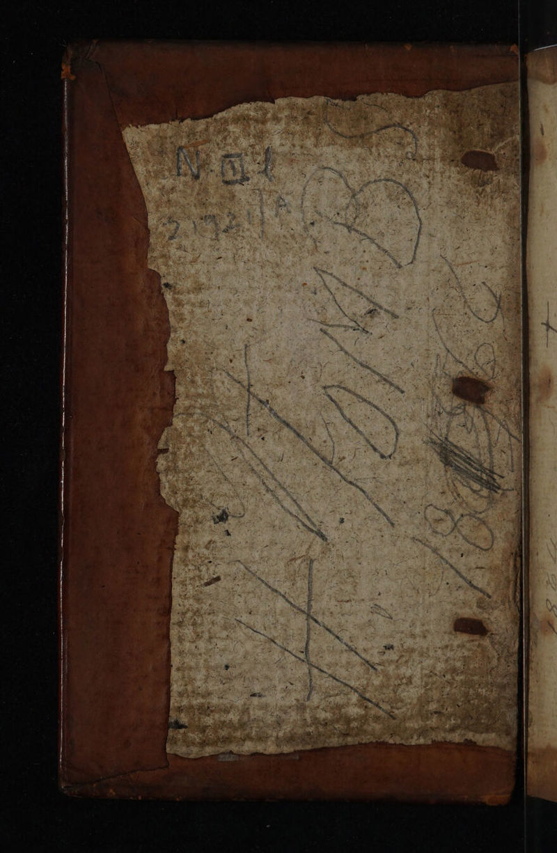 No text description is available for this image