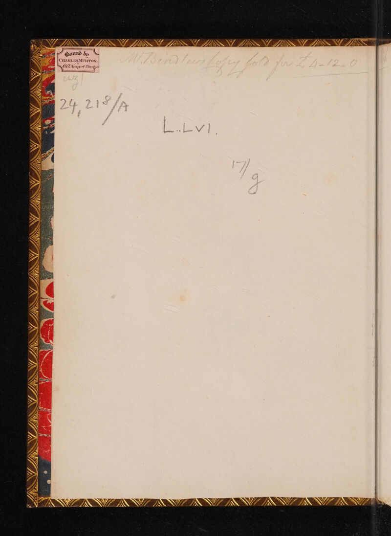 I NZZBS NIZISNNY LS NU ZEN ASNT SN 9S NIN ZO | VASSABS IDSA AIS NW DIN, RNS DRL PRIN KRISS Is