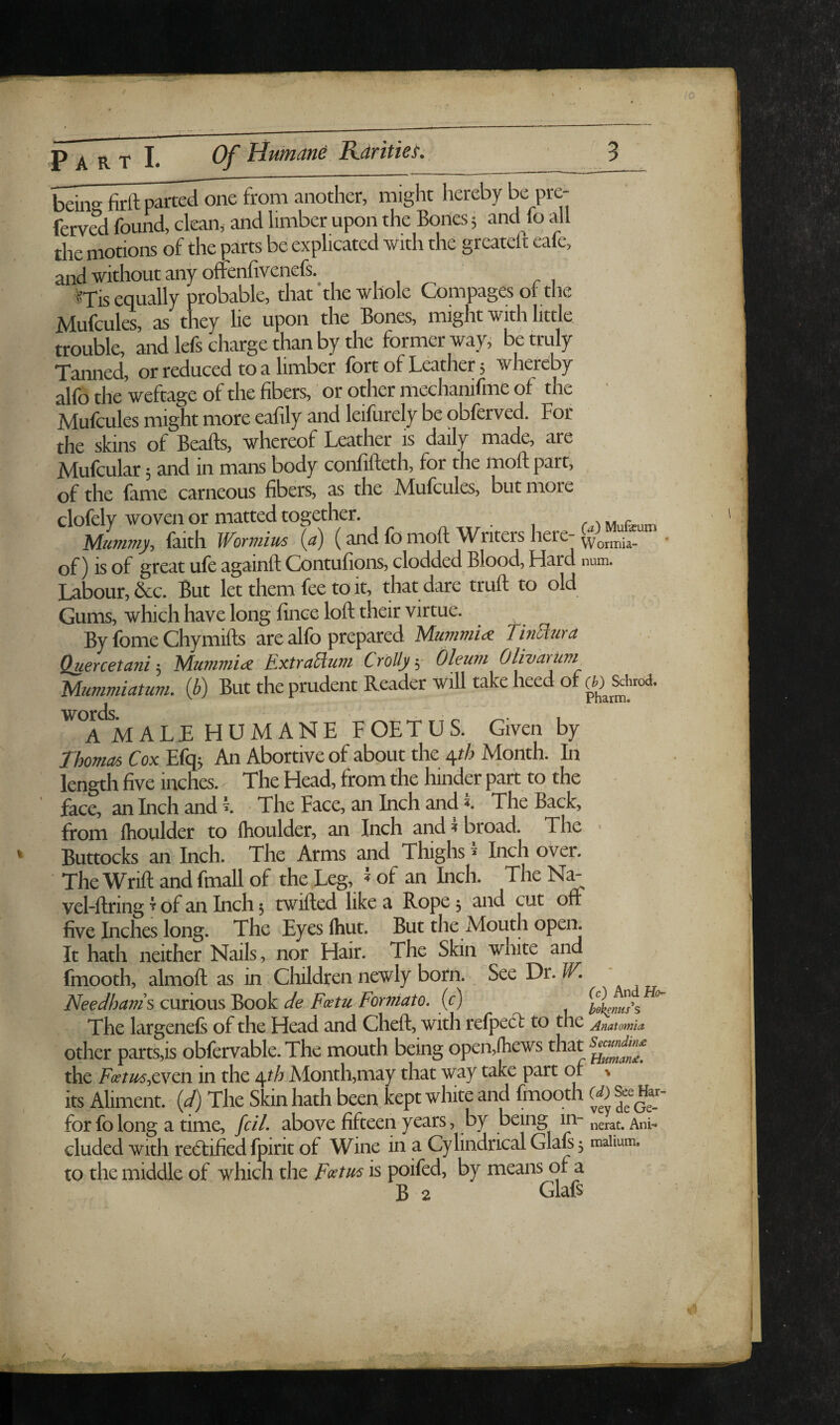 beins firft parted one from another, might hereby be pre- ferved found, clean, and limber upon the Bones 5 and fo all the motions of the ptos be explicated with the greateft cafe, and without any offenfivenefs.^ , , _ . , ^Tis equally probable, that the whole Compages ot the jMulcules, as they he upon the Bones, might with little trouble, and lefs charge than by the former way, be truly Tanned, or reduced to a limber fort of Leather 5 whereby alfo the weftage of the fibers, or other mechanifme of the Mufcules might more eafily and leifurely be obferved. For the skins of Beafts, whereof Leather is daily made, are Mufcular; and in mans body confifteth, for the moftpart, of the fame carneous fibers, as the Mufcules, but more clofely woven or matted together. Mummy, faith Wormius {a) (and fo moft Writers here- ^ormia- • of) is of great ufe againft Contufions, clodded Blood, Hard num. num. Labour, &c. But let them fee to it, that dare truft to old Gums, which have long fince loft their virtue. By fome Chymifts are alfo prepared Mummice TinSiura Qjiercetani 5 Mummia ExtraSium CrbUy 5- Oleum Olivarum Mummiatum. ib) But the prudent Reader will take heed of W &htod. ^ A M A LL H U M A N E F GET U S. Given by Thomas Cox Efq; An Abortive of about the qt/j Month. In length five inches. - The Head, from the hinder part to the fucc, an Inch and k The Face, an Inch and •<. The Back, from Ihoulder to (houlder, an Inch and 1 broad. The • * Buttocks an Inch. The Arms and Thighs * Inch over. The Wrift and fmall of the Leg, »of an Inch. The vel-ftring ^ of an Inch 5 twifted like a Rope 5 and cut off five Inches long. The Eyes Ihut. But the Mouth open. It hath neither Nails, nor Hair. The Skin white and fmooth, almoft as in Children newly born. See Dr. W. NeeSam’s curious'Book Je Fietu Formato. (c) The largenefi of the Head and Cheft, with relpect to the Anatomia other parts,is obfervable. The mouth being open,lhews that the F(etus,cYcn in the qt/j Alonth,may that way take part of > its Aliment, {d) The Skin hath been kept white and fmooth (4) fe for fo long a time, fell, above fifteen years, by being nerat. h eluded with redtified fpirit of Wine in a Cylindrical Glals 3 maiium, to the middle of which the Fxtm is poifed, by means of a B 2 Glafs /