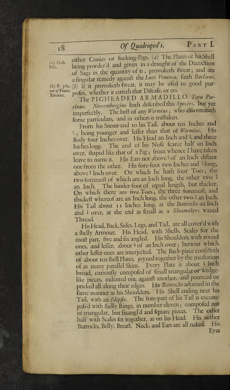 I 8 I (a) Guil. Pifo. either Conies or fucking-Pigs. («) The Plates ^ his Shell being powder’d and given in a draught of the Decoftion of Sage in the quantity of , provoketh fweatj and are a fino^ular remedy agamft thel^^e5 Venerea, faith Bar Urn, (h) P. If it provoketh fweat, it may be ufed to good pur- out o/Franc. r it cureth that Difeafe, or no. Ximines. P piGHEADED ARMADILLO. Tatu Por^ cinus Nierembergim hath defcnbedthis Species, but yet imperfealy. The beft of any Wormius 3 who alfo omiteth fome particulars, and in others is miftaken. From his Snout-end to his Tail, about ten Inches and being younger and lelfer than that of Wornnics. His Body four Inches over. His Head an Inch and three Inches long. The end of his ISIofe fcarce half an Inch over, ftiaped like that of a Pig, from whence I have taken leave to name it. His Ears not above of an Inch di ant ' one from the other. His fore-foot two Inches and > long, above I Inch over. On which he hath fopr Toes 3 the twoforemoft of which are an Inch long, the other an Inch. The hinder-foot of equal length, but thicker. On which there are five Toes 3 the three foremoft, and . thickeft whereof are an Inch long, the other two ^ an Inch. ' His Tail about 11 Inches long, at the Buttocks an Inch and 5 over, at the efid as fmall as a Sboomakers waxed Thread. His Head, Back, Sides, Legs, and Tail, are all covef d with a (helly Armour. His Head, with Shells, Scales for the moft part, five and fix angled. His Shoulders, with round ones, and leffer, about ^ of an Inch over 3 betwixt other leffer ones are interjefted. The Back-piece conliiteth of -about ten Ihell Plates, joyned together by the mediation of as many parallel Skins. Every Plate is about » broad, curioufly compofed of fmall triangular or wedge¬ like pieces, indented one againft another, and pounced or pricked all along their edges. His Buttocks adorned in the fame manner as his Shoulders* His Shell ending next his Tail, with an Elipfis, The fore-part of his Tail is encom- pafs’d with Ihelly Rings, in number eleven 3 compofed not of triangular, but fixangPd and fquare pieces. The other half with Scales fet together, as on his Head. His netr^r Buttocks, Belly, Breaft, Neck, and Ears are all naked. His ' - ' Eyes