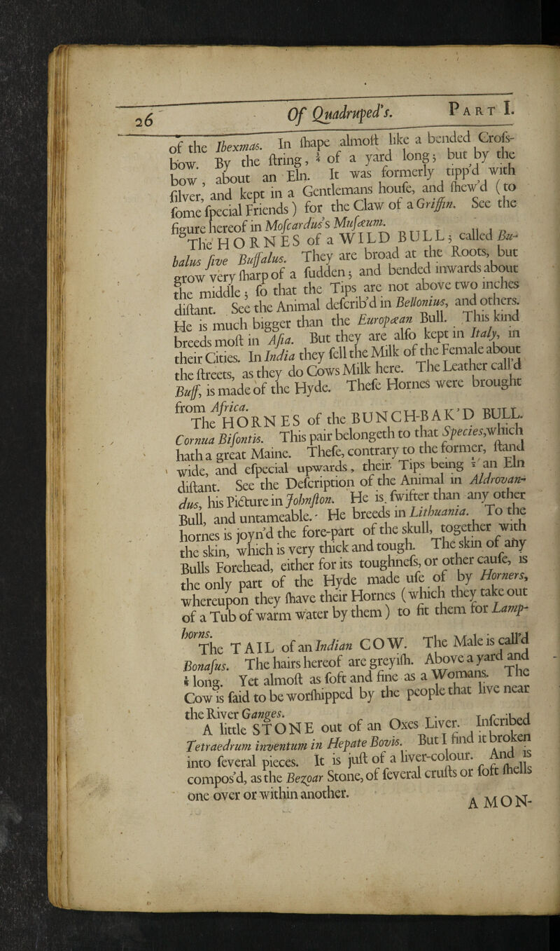 of the Ibexmas. In lhape _almolf like a bended Grofs- bU. By the firing, I of a yard long5 but by the bZ , about an -Eln. It , Wj//* filver, and kept in a Gentlemans houfe, and (hewd ( to femefpecial Friends) for the Claw of zGnfin. See the (iQ^ure hereof in The HORNES of a WIL D B U L L 5 called Bu¬ bals five Buffalm. They are broad at the Roots, but Irow-yerylhaEpof a fuddenj and bended inwards about the middle 5 fo that the Tips are not above two inches diftant. See the Animal defenb’d in Betow, othCTj He is much bigger than the European Bull. ,1 his kind breeds moft in Afia. But they are alfo kept in Italy, in LrCitiK. UhJia they fdltheMlk of the Female about the ftreeta, as they do Cows Milk here. The Leather call d Ba/, K mlde if tie Hyde Thefe Homes were brought ‘^'ThetioRNES of theUUNCH-BAK-D BULL Cornua Bifontis. This pair belongeth to that %«w,which hath a great Maine. Thefe, contrary to the former, Hand wide, Sid efpecial upwards, their. Tips being . aii Eln diftant. See the Defeription of the Animal in Aldrovan^ dus, his Pidture in Johnfton. He is. fwifter than -any other Bull, and untameable. - He breeds m Lithuania. To e Cnes is ioynd the fore-part of the skull, together with the skin, wLch is very thick and tough. The skin of ahy BuUs Forehead, either for its toughnefs, or other caufe, is the only part of the Hyde made ufe of by Horners Xeu^ they ftiave their Hornes (which they takeout of a Tub of warm water by them) to fit them for Lamp ^■’'Tiie TAIL oimlndian GOW. The MaleiscaU’d Bonafus. The hairs hereof aregreyilh. -Aj^ove a yard and 4 Ion-.' Yet almoft as foft and fine as a Womans. The Cow K faid to be worlhipped by the people that live near ^'’^AhSf STONE out of an Oxes Liver. Tetraedrum inventum in HefateBovis. But! n it ro en into feveral pieces. It is juft of a liver-coHur. ,, compos’d, as the Bezpctr Stone, of feveral crufts or o t ■ one over or within another.