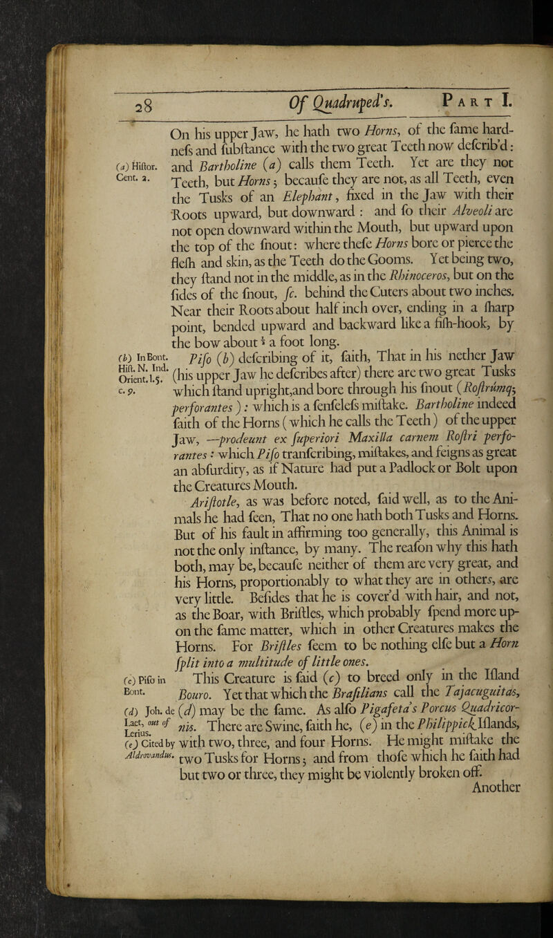 Upper Jaw? he h^tli two HoyytSf of the fuiie hcird- nefs and fubftance with the two great Teeth now deferib’d: (a) Hiftor. and Bctytholiyi^ calls them Teeth. Yet are they not Cent. 3. 'j-geth, but Boms 5 becaufe they are not, as all Teeth, even the Tusks of an Elephant, fixed in the Jaw with their ■Roots upward, but downward : and fo their Alveoli are not open downward within the Mouth, but upward upon the top of the fnout: where thefe Horns bore or pkree the flelh and skin, as the Teeth do the Gooms. Y et being two, they {land not in the middle, as in the Rhinoceros, but on the fides of the fnout, fc. beliind the Cuters about two inches. Near their Roots about half inch over, ending in a fliarp point, bended upward and backward like a fiih-hook, by the bow about j a foot long. (b) inBoiit. pij-Q deferibing of it, faith. That in his nether Jaw Otoii?' (his upper Jaw he deferibes after) there are two great Tusks c-?- ’ which ftandupright,and bore through his fnout (i?o/r«OT5'; perj'orizntes ) .* which is a lenlelels miftake. Rartholine indeed faith of the Horns (which he calls the Teeth) of the upper Jaw, —prodeunt ex fuperiori Maxilla carneni Rojlri perfo- rantes: which Pifo tranferibing, miftakes, and feigns as great an abfurdity, as if Nature had put a Padlock or Bolt upon the Creatures Mouth. Ariftotle, as was before noted, faidwell, as to the Ani¬ mals he had feen. That no one hath botliTusks and Horns. But of his fault in affirming too generally, this Animal is not the only inftance, by many. Thereafon why this hath both, may be, becaufe neither of them are very great, and his Horns, proportionably to what they are in others, are very little. Befides that he is cover’d with hair, and not, as the Boar, with Briftles, which probably fpend more up¬ on the fame matter, which in other Creatures makes the Horns. For Briflles feem to be nothing elfe but a Horn fplit into a multitude of little ones. (c) Pifo in This Creature is faid (r) to breed only in the Ifl^d Boot. Rouro. Yet that which the call the Tiyitfaga/to, (d) Joh.de {d) may be the fame. As alfo Pigafeta’s Porem Quadricor- Urius”** There are Swine, faith he, (e) in the Philippic^lUmds, (3'citedby with two, three, and four Horns. He might miftake the Aidrmandus. Tusks for Homs; and from thofe which he faith had but two or three, they might be violently broken off. Another