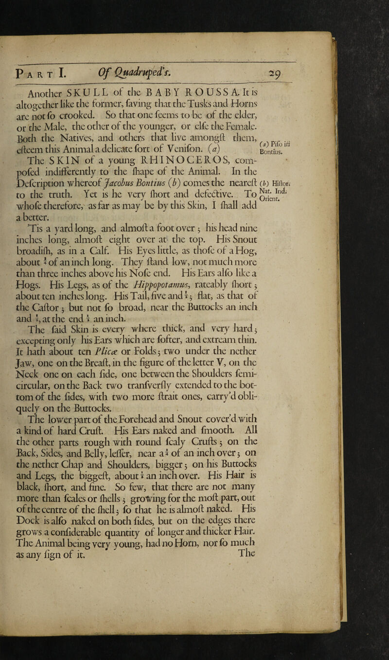 Another SKULL of the BABYROUSSA. Itis altogether like the former, faving that the Tusks and Horns are notfo crooked. So that one feems to be of the elder, or 'the Male, the other of the younger, or elfe the Female. Both the Natives, and others that live amongft them, cfteemthis Animal a delicate fort of Venifon. (a) The SKIN of a young RHINOCEROS, com- pofed indifferently to the fhape of the Animal. In the Defcription whereof Jacohm Bontim (b) comes the neareft (h) Hifton to the truth. Yet is he very Ihort and defective. To whofe therefore,' as far as may be by this Skin, I (hall add a better. Tis a yard long, and almofta foot over 5 his head nine inches long, almoft eight over at the top. His Snout broadilh, as in a Calf. His Eyes little, as thofe of a Hog, about i of an inch long. They Band low, not much more than three inches above his Nofe end. His Ears alfo like a Hogs. His Legs, as of the Hipfopta??im^ rateably fhort 5 about ten inches long. His Tail, five and \ 5 flat, as that of the Caftor 3 but not fo broad, near the Buttocks an inch and L at the end ^ an inch. The faid Skin is every where thick, and very hard 3 excepting only his Ears which are fofter, and extream thin. It hath about ten Plicc^e or Folds 3 two under the nether Jaw, one on the Breaft, in the figure of the letter V, on the Neck one on each fide, one between the Shoulders femi- circular, on the Back two tranfverfly extended to the bot¬ tom of the fides, with two more flrait ones, carry’d obli¬ quely on the Buttocks. The lower part of the Forehead and Snout cover'd with a kind of hard Crufl. His Ears naked and fmooth. All the other parts rough with round fcaly Crufts 3 on the Back, Sides, and Belly, leffer, near a 5 of an inch over 3 on the nether Chap and Shoulders, bigger 3 on his Buttocks and Legs, the biggeft, about 3 an inch over. His Hair is black, Ihort, and fine. So few, that there are not many more than fcales or ftiells 3 grotv^ing for the nioft part, out of the centre of the lhell3 fo that he is almoft naked. His Dock is alfo naked on both fides, but on the edges there grows a confiderable quantity of longer and thicker Hair. The Animal being very young, had no Horn, nor fo much as any fign of it. The