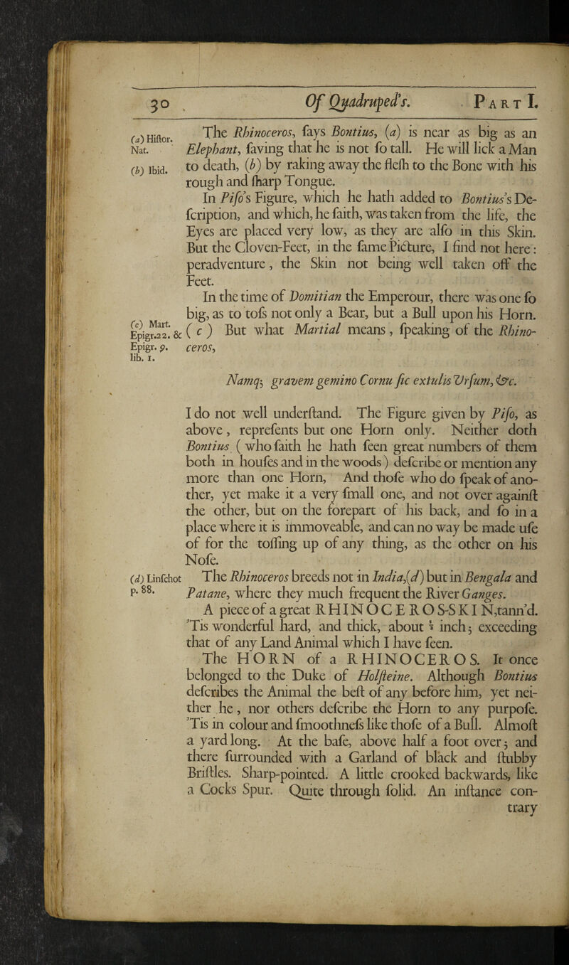 I 30. Of O^admped’f. . P a r t I. ('«)Hinor. The Rhinoceros^ fays Bontius, (a) is near as big as an Nat. Elephant, faving that he is not fo tall. He will lick a Man (A) Ibid, to death, {b) by raking away the flelh to the Bone with his rough and ftiarp Tongue. In Pifds Figure, which he hath added to Bontius s De- fcription, and which, he faith, was taken from the life, the Eyes are placed very low, as they are alfo in this Skin. But the Cloven-Feet, in the fame Pidure, I find not here: peradventure, the Skin not being well taken off the Feet. In the time of Domitian the Emperour, there was one fo big, as to tofs not only a Bear, but a Bull upon his Horn. Epig^rz! & C c ) But what Martial means, fpeaking of the Rhino- Epigr. p. ceroSt lib. I. Namq'j gravem gemino Cornu fic extulh Vrfu?n:, isc. Ido not well underftand. The Figure given by Pifo^ as above, reprefents but one Horn only. Neither doth Bontim ( who faith he hath feen great numbers of them both in houfes and in the woods) defcribe or mention any more than one Horn, And thofe who do fpeak of ano- ther, yet make it a very fmall one, and not over againfl the other, but on the forepart of his back, and fo in a place where it is immoveable, and can no way be made ufe of for the toiling up of any thing, as the other on his Nofe. (d) Linfchot The Rhinoceros breeds not in India,{J) but in Bengala and p. 88. Patane, where they much frequent the River Ganges. A piece of a great RHINOCEROS-SKI N,tann d. Tis wonderful hard, and thick, about ^ inch 5 exceeding that of any Land Animal which I have feen. The HORN of a RHINOCEROS. It once belonged to the Duke of Holfteine. Although Bontius defcribes the Animal the bell of any before him, yet nei¬ ther he, nor others defcribe the Horn to any purpofe. 'Tis in colour and fmoothnefs like thofe of a Bull. Almoll a yard long. • At the bafe, above half a foot over 5 and there furrounded with a Garland of black and ftubby Briftles. Sharp-pointed. A little crooked backwards, like a Cocks Spur. Quite through folid. An inftance con¬ trary