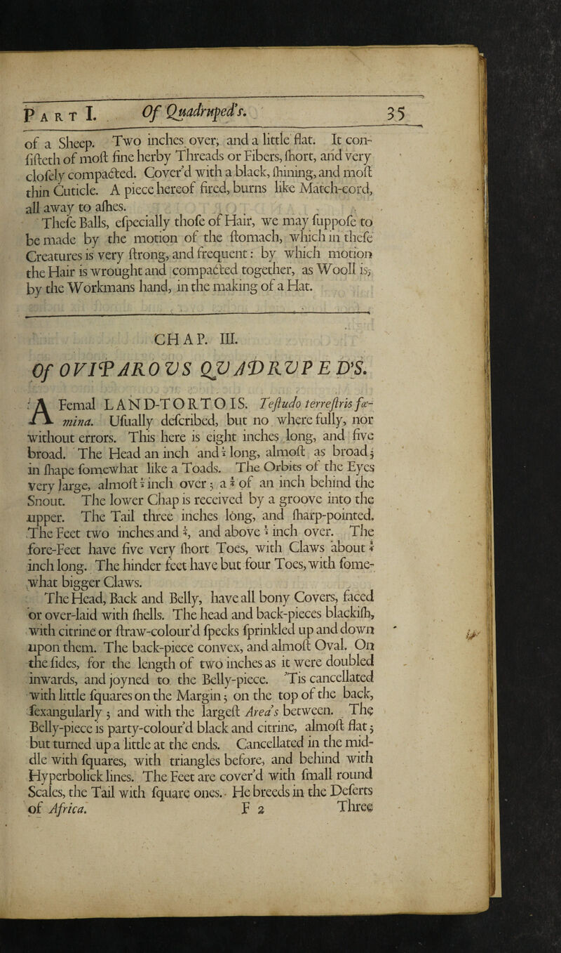 of a Sheep. inches over, and a little flat. It con- fifteth of moft fine herby Threads or Fibers, ftiort, arid Very clofely compacted. Cover d with a black, Ihining, and moft thin Cuticle. A piece hereof fired, burns like Match-cord, all away to afties. , , ' Thefe Balls, efpecially thofe of Hair, we may fiippofe to be made by the motion of the ftomach, which in thefe Creatures is very ftrong, and frequent: by which motion the Hair is wrought and compared together, as Wooll isj by the Workmans hand, in the making of a Hat. CHAP. III. : . Of OVITAKOVS QZJJf)RVPEb% AFemal L A ISf D-T O R T O IS. TeftuJo terrejlm foe- viina. Ufually defcribed, but no where fully, nor without errors. This here is eight inches long, and five broad. The Head an inch and Hong, almoft as broad 5 in lhape fomewhat like a Toads. The Orbits of the Eyes very large, almoft ^ inch over 5 a 5 of an inch behind the Snout. The lower Chap is received by a groove into the upper. The Tail three inches long, and iharp-pointed. .The Feet two inches and and above * inch over. The fore-Feet have five very fhort Toes, with Claws about 4- inch long. The hinder feet have but four Toes, with fome- ,what bigger Claws. , The Head, Back and Belly, have all bony Covers, faced or over-laid with Ihells. The head and back-pieces blackilb, with citrine' or ftraw-colour d fpecks fprinkled up and down upon them. The back-piece convex, and almoft Oval. On tnefides, for the length of two inches as it were doubled inwards, and joyned to the Belly-piece. ^Tis cancellated with little fquares on the Margin 3 on the top of the back, fexangularly 5 and with the largeft Areas between. The Belly-piece is party-colour d black and citrine, almoft flat 5 but turned up a little at the ends. Cancellated in the mid¬ dle with fquares, with triangles before, and behind with Hyperbolick lines. TheFeet are coverid with fmall round Scales, the Tail with fquare ones.. He breeds in the'Deferts of Africa] V 2 ' Three