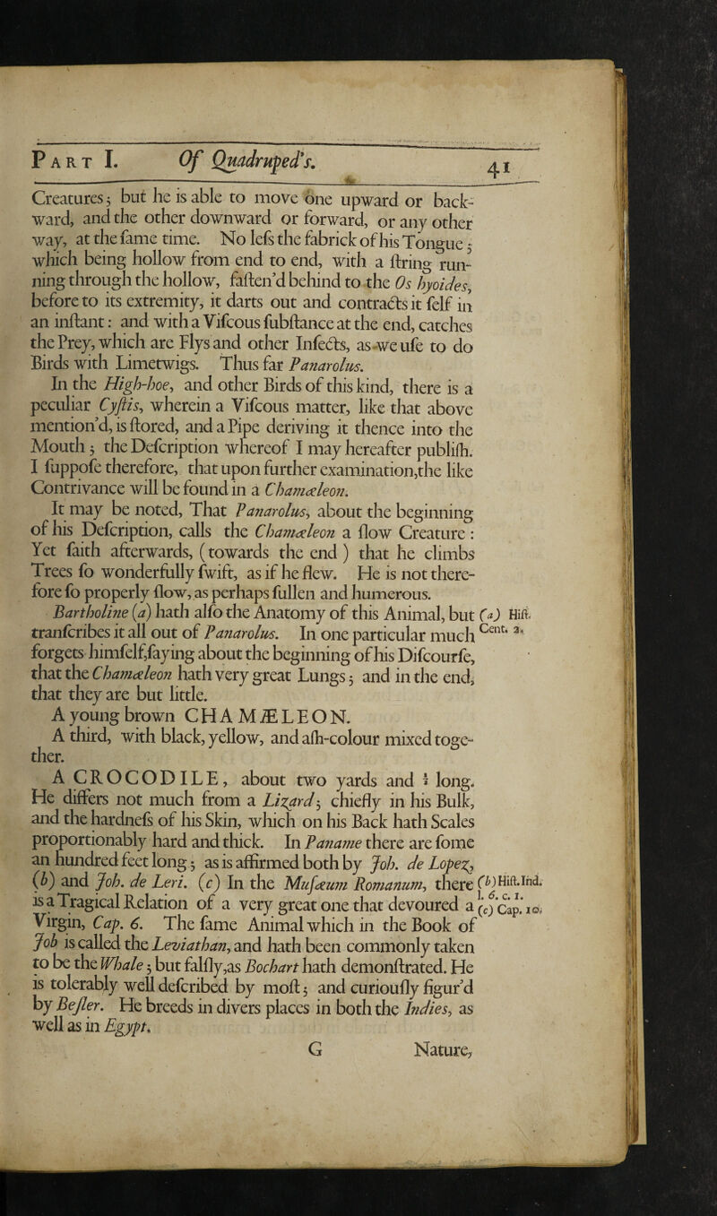 Creatures 5 but he is able to move one upward or back ward, and the other downward or forward, or any other way, at the fame time. No lefs the fabrick of his Tongue • which being hollow from end to end, with a ftring run¬ ning through the hollow, faften’d behind to the Os hyoUes, before to its extremity, it darts out and contradts it felf in an inftant; and with a Vifcous fubftance at the end, catches the Prey, which are Flys and other Infedfs, as-weufe to do Birds with Limetwigs. Thus far Panarolus. In the High-hoe, and other Birds of this kind, there is a peculiar Cyftis, wherein a Vifcous matter, like that above mention’d, is ftored, and a Pipe deriving it thence into the Mouth 5 the Defcription whereof I may hereafter publifh. I fuppofe therefore, that upon further examination,the like Contrivance will be found in a Chameeleon. It may be noted. That Panarolm, about the beginning of his Defcription, calls the Chameleon a flow Creature: Yet faith afterwards, (towards the end ) that he climbs Trees fo wonderfully fwift, as if he flew. He is not there¬ fore fo properly flow, as perhaps fullen and humerous. Bartholine (a) hath alfo the Anatomy of this Animal, but f) Hift tranfcribes it all out of Panarolm. In one particular much forgets himfelf,faying about the beginning of his Difcourfe, that the Chameleon hath very great Lungs 5 and in the endj that they are but little. A young brown CHAM.ffiLEON. A third, with black, yellow, and alh-colour mixed toge¬ ther. A CROCODILE, about two yards and 1 long. He differs not much from a Lizard ■, chiefly in his Bulk, and the hardnefs of liis Skin, which on his Back hath Scales proportionably hard and thick. In Paname there are fome an Hundred feet long; as is affirmed both by Joh. de Lofez^ (JP) and Joh. de Leri, (c) In the Mufaurn Romanum, there is a Tragical Relation of a very great one that devoured a\cfca.f.i Virgin, Cap. 6. The fame Animal which in the Book of Job is called the Leviathan, and hath been commonly taken to be the Whale; but falfly,as Bochart hath demonftrated. He is tolerably well defcribed by mofl: 5 and curioufly figur’d by BeJler. He breeds in divers places in both the Indies, as ■well as in Egypt. G Nature,