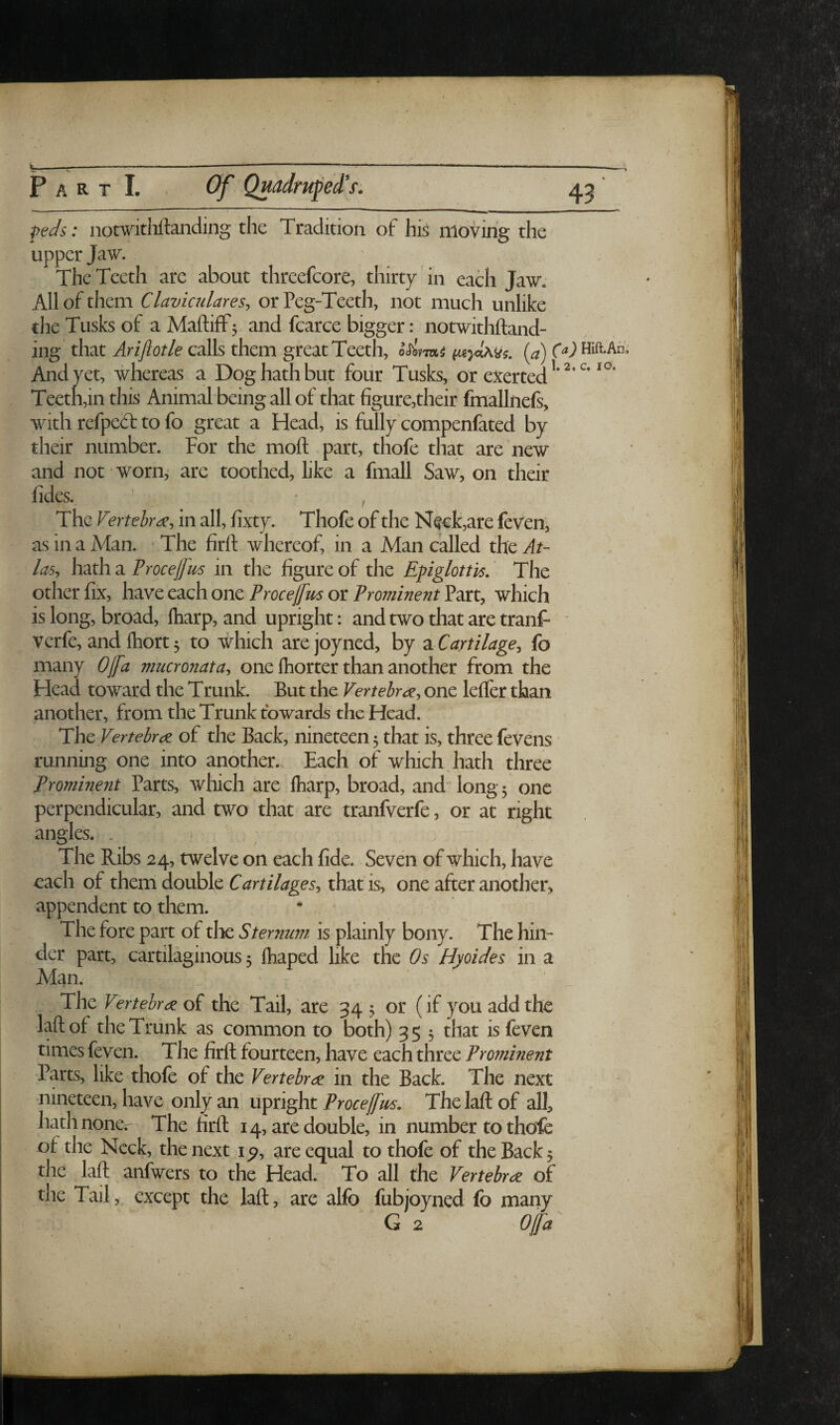 peds: notwitliftanding the Tradition of his moving the upper Jaw. The Teeth are about threefcore, thirty in eadi Jaw. All of them Claviadares, or Peg-Teeth, not much unlike the Tusks of aMaftiff^ and fcarce bigger: notwithftand- ing that calls them great Teeth, {a)(^) And yet, whereas a Dog hath but four Tusks, or exerted Teeth,in this Animal being all of that figure,their fmallnefs, with refpedt to fo great a Head, is fully'compenfated by their number. For the moft part, thofe that are new and not' worn, are toothed, like a fmall Saw, on their fides. The Vertebra, in all, fixty. Thofe of the N^ck,are feven, as in a Man. • The firft whereof, in a Man called the At¬ las, hath a ProcelJm in the figure of the Epglottk, ‘ The other fix, have each one Frocejjm or Frominent Part, which is long, broad, ftiarp, and upright: and two that are tranf* verfe, and Ihort 5 to which arejoyned, by Cartilage, fo many Ojfa viucronata, one Ihorter than another from the Plead toward the Trunk. But the Vertebra, one lelfer than another, from the Trunk towards the Head. The Vertebra of the Back, nineteen 5 that is, three fevens running one into another. Each of which hath three Frominent Parts, which are fharp, broad, and long 5 one perpendicular, and two that are tranfverfe, or at right angles. . The Ribs 24, twelve on each fide. Seven of which, have each of them double Cartilages, that is, one after another, appendent to them. The fore part of the Steriium is plainly bony. The hin¬ der part, cartil^inous 5 lhaped like the Os Hyoides in a Man. The Vertebra of the Tail, are 34 5 or (if you add the laftof the Trunk as common to both) 35 ^ that is feven times feven. The firft fourteen, have each three Frominent •Parts, like thofe of the Vertebra in the Back. The next ■nineteen, have only an upright Froceffm. The laft of all, hath none.- The firft 14, are double, in number to thofe of the Neck, the next ip, are equal to thofe of the Back 5 the laft anfwers to the Head. To all the Vertebra of the Tail,, except the laft, are alfo fubjoyned fo many I _ G 2. o jfa