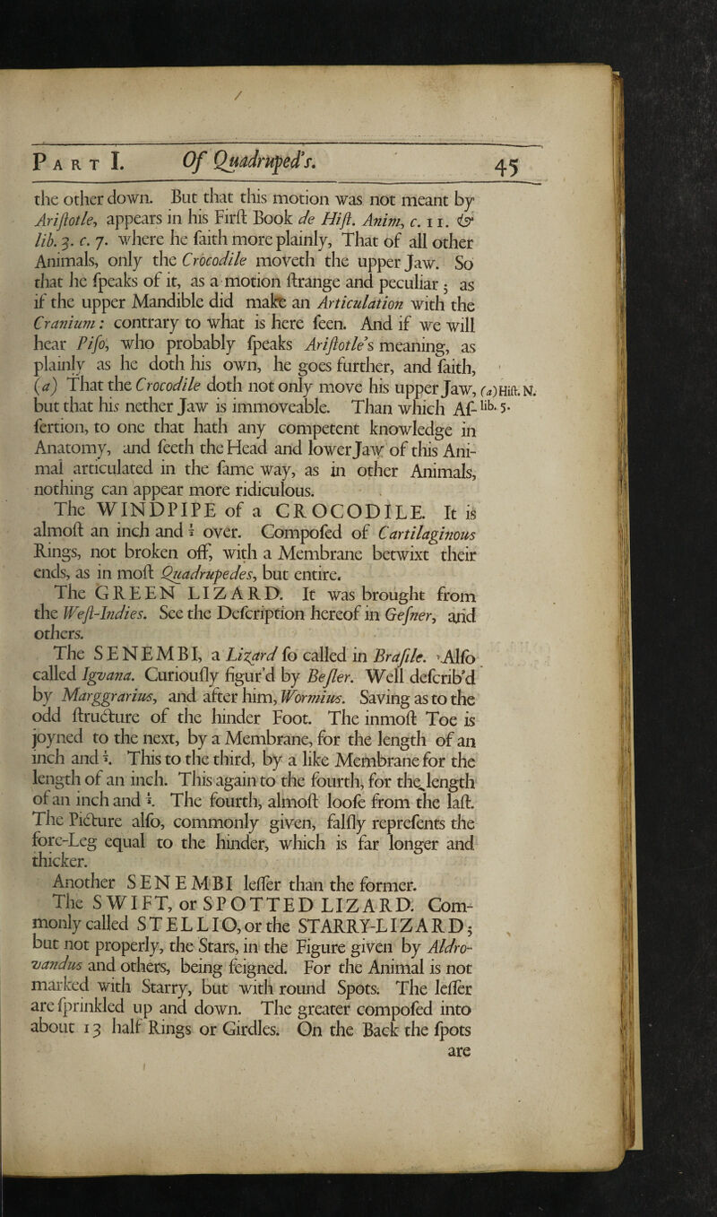 / P A R T 1. Of Quadruped's. 45 , the other down. But that this motion was not meant by Ariftotle, appears in his Firft Book Je Hi ft, Anim, r. 11. <3^ lib. 3. c. 7. where he faith more plainly. That of all other Animals, only the Crocodile moveth the upper Jaw. So that he fpeaks of it, as a motion ftrange and peculiar 5 as if the upper Mandible did mait an Articulation with the Cranium: contrary to what is Here feen. And if we will hear Pifo', who probably fpeaks AriftotHs as plainly as he doth his own, he goes further, and faith, • (a) That the Crocodile doth not only move his upper Jaw, r^)Hift.]sr. but that hi^ nether Jaw is immoveable. Than which Af- 5* fertion, to one that hath any competent knowledge in Anatomy, cind feeth the Head and lower Ja^y of this Ani¬ mal articulated in the fame way, as in other Animals, nothing can appear more ridiculous. ■ . The WINDPIPE of a CROCODILE. It is almoft an inch and I over. Compofed of Cartilaginous Rings, not broken off, with a Membrane betwixt their ends, as in moft Quadrugedes^ but entire. The GREEN LIZARD. It was brought from the Weft-Indies. See the Defcription hereof in Gefner, and others. The SENEMBI, a fo called in ^Allb called Igvana. Curioufly figur’d by Befler. Well.defcrib’d by Marggrarius, and after him, Wormius. Saving as to the odd ftrudlure of the hinder Foot. The inmoft Toe is joyned to the next, by a Membrane, for the length of an inch and i This to the third, by a like Membrane for the length of an inch. This again to the fourth, for the^length of an inch and k The fourth, almoft’ loofc from the laft. The Picfture alfo, commonly given, falfly reprefents the fore-Leg equal to the hinder, which is far longer and thicker. Another SENEM*BI lefler than the former. The SWIFT, or SPOTTED LIZARD. Com¬ monly called ST ELL lO, or the ST ARRY-L IZARD 5 , but not properly, the Stars, in the Figure given by Aldro- and others, being feigned. For the Animal is not marked with Starry, but with round Spots; The lefler are fprinkled up and down. The greater compofed into about 13 half Rings or Girdles. On the Back the Ipots are