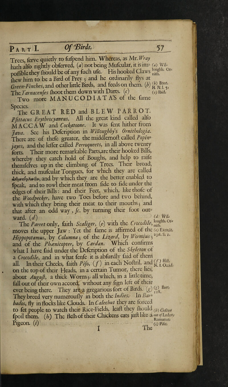 Trees ferve quietly to fufpend him. Whereas, as Mr. Wray hath aKo rishtly obferved, {a) not being Mufcular, it is im- (a) Wii- poflible they Ihould be of any fuch ufe. His hooked Claws o* ftiew him to be a Bird of Prey ; and he ordinarily flys at and other little Birds, and feeds on them. (^) The Tarnacenfes Ihoot them down with Darts, (c) ■ (c) ibid. Two more MANUCODIaT A’S of the fame Species The GREAT R£D and BLEW PARROT. Pfittacus Erytbrocyaneus. All the great kind called alfo M A C C A W and Cockatoone, It was fent hither from Java. See his Defcription in Willoughby’s Ornithologia. There are of thefe greater, the middlemoft called Eopra- jayes, and the lelfer called Perroqueets, in all aboye twenty forts. Their more remarkable Parts,are their hooked Bills, whereby they catch hold of Boughs, and help to raife themfelyes up in the climbing of Trees. Their broad, thick, and mufcular Tongues, for which they are called «*9p»7r^yA<*T]oi, and by which they are the better enabled to fpeak, and to rowl their meat from fide to fide under the edges of their Bills: and their Feet, which, like thofe of the Woodpecker, haye two Toes before and two behind, with which they bring their meat to their mouths 5 and that after an odd way, /c. by turning their foot out^ ward, (d) _ Theonly, faith Scatiger, (e) with the Crocodile, moyes the upper Jaw : Yet the lame is affirmed of the (e) ExciciC' Hippopotamus, by Columna-, of the Liyard, byWormius and of the Phccnicopter, by Cardan, Which confirms what I haye laid under the Defcription of the Skeleton of a Crocodile, and in what fenfe it is abfurdly faid of theni all. In their Ch^ks, faith Pifo, (/) in each Noftnl, and ^ J on the top of their Heads, in a certain Tumor, there lies, about Augujl, a thick Worm 5- all which, in a little timCj fall out of their own accord, without any fign left of their cyer being there. They are a gregarious fort of Birds. They breed very numeroufly in both the/«r//es. ' InBar^ bados, fly in flocks like Clouds. In Calechut they are forced to fet people to watch their RiceTields, leaft they ihould (-/,) fpoil them, {b) The fleih of their Chickens eats juft like a ofUiavt Pigeon. (/) t