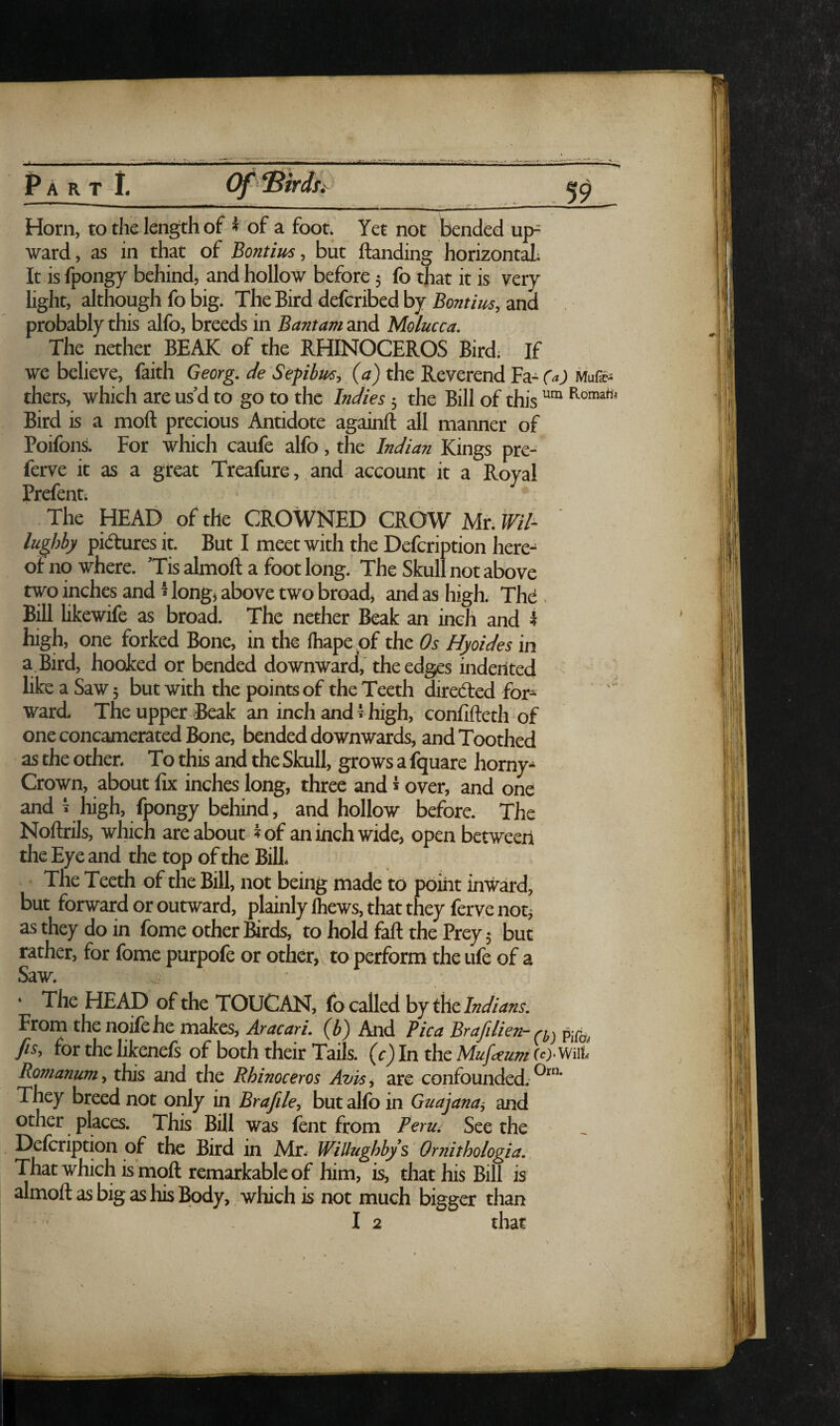 Horn, to the length of i of a foot. Yet not bended up^ ward, as in that of Bontiusbut Handing horizont^ It is fpongy behind, and hollow before; fo that it is very light, although fo big. The Bird deferibed by Bontius, and probably this alfo, breeds in Bantam and Molucca. The nether BEAK of the RHINOCEROS Bird; If we believe, laith Georg, de Sepibus, (a) the Reverend Fa- (a) iviufie- thers, which are us’d to go to the Indies; the Bill of this ““ Bird is a moft precious Antidote againft all manner of Poifons. For which caufe alfo, the Indian Kings pre- ferve it as a great Treafure, and account it a Royal Prefenti The HEAD of the CROWNED CROW Mr. Wil- lughby pidfures it. But I meet with the Defcription here¬ of no where. ’Tis almoft a foot long. The Skull not above two inches and I long« above two broad, and as high. The . Bill likewife as broad. The nether Beak an inch and i high, one forked Bone, in the Ihape of the Os Hyoides in a. Bird, hooked or bended downward, the edges inderited like a Saw; but with the points of the Teeth diredted for¬ ward. The upper Beak an inchandihigh, confifteth of one concamerated Bone, bended downwards, and Toothed as the other. To this and the Skull, grows a fquare horny* Crown, about Ik inches long, three and > over, and one and T high, fpongy behind, and hollow before. The Noftrils, which are about ?of an inch wide, open betweeri the Eye and the top of the Bill. The Teeth of the Bill, not being made to poiiit inward, but forward or outward, {plainly Ihews, that they ferve not^ as they do in fome other Birds, to hold fall the Prey; but rather, for fome purpofe or other, to perform the ufe of a Saw. • The HEAD of the TOUCAN, fo called \yy ^tlndians. From thenoifehe makes, Aracari. (b) And Pica Brafilien-a) pita fis, for the likenels of both their Tails, (c) In the Mufaum w.Wiifc Ronianum, this and the Rhinoceros Avki are confounded. *^™' They breed not only in Brafile, but alfo in Guajanai and other pkces. This Bill was font from Perur See the Defcription of the Bird in Mr. WiUughbys Omithologia.. That which is moft remarkable of him, is, that his Bill is almoft as big as his Body, which is not much bigger than