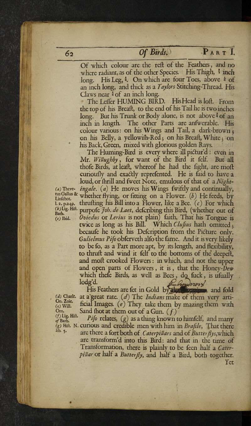 ~i ■■ -,., II I.... I .1. .vi.|- ~-—--- ~ ■■ Of which colour are the reft of the Feathers, and no where radiant, as of the other Species. His Thigh, ^ inch long. His Leg, i On which are four Toes, above 4 of an inch long, and thick as a Taylors Stitching-Thread. His Claws near ^ of an inch long. The Lellcr HUMING BIRD. His Head is loft. From the top of his Breaft, to the end of his Tail he is two inches long. But his Trunk or Body alone, is not above ^ of an inch in length. The other Parts are anfwerable. His colour various: on his Wings and Tail, a dark-brown 5 on his Belly, a yellowi(h-Red 3 on his Breaft, White 5 on his Back, Green, mixed with glorious golden Rays. The Huming-Bird is every where ill pidur d: even in Mr. WiUughby, for want of the Bird it felf. But all thofe Birds, at leaft, whereof he had the fight, are nioft curioufiy and cxadly reprefented. He is faid to have a loud, or Ihrill and fweet Note, emulous of that of a Night- Ca) There- iT/gale, (a) Hc moves his Wings fwiftly and continually, Linfchot? ^ flying, or fitting on a Flower, (i) He feeds, by 1.2. p.24p. thrufting his Bill into a Flower, like a Bee. (c) For which Barb pnrpofe Job. de Laet^ defcribing this Bird, (whether out of CO Ibid. Oviedus or Lerius is not plain) faith, That his Tongue is twice as long as his Bill. Which Clufius hath omitted 3 becaufe he took his Defcription from the Pifture only. Gulielmus Pifo obferveth alfo the fame. And it is very likely to be fo, as a Part more ^t, By its length, and flexibility, to thruft and wind it felf to the bottoms of the* deepeft, and moft crooked Flowers: in which, and not the upper and open parts of Flowers, it is, that the Honey-Peip which thefe Birds, as well as Bees, do fuck, is ufually . lodgd. / His Feathers are fet in Gold and fold On Zoic'^* (d) The Indians make of them very arti- co wm!* ficial Images, (e) They take them by mazing them with Orn. Sand Ihot at them out of a Gun. (/) T2/0 relates, (g) asathing known tohimfelf, and many (p Hift. N. curious and credible men with him in Brafile^ That there lib. 5. there a fort both of. Caterpillars and of Bictterflysf^hxch are transform’d into this Bird: and that in the time of Transformation, there is plainly to be feen half a Cater¬ pillar othsM ^ Butterjly^ and half a Bird, both together. Yet