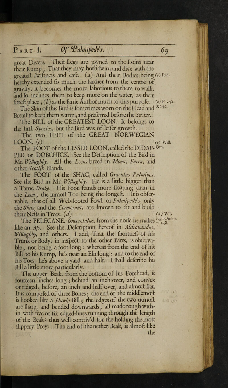 great Divers. Their Legs are joyned to the Loins near their Rump 5 That they may bothfwim and dive with the greateft fwiftnefs and eafe. (a) And their Bodies being (a) ibid. hereby extended fo much the farther from the centre of^ gravity, it becomes the more laborious to them to walk, and fo inclines them to keep more on the water, as their fitteft place 5 as the fame Author much to this purpofe. p. 2 5§, The Skin of this Bird is fometimes worn on the Head and ^ ^ Breaft to keep them warm 5 and preferred before the Swans, The BILL of the GREATEST LOON. It belongs to the firft Species, hat the Bird was of lefTer growth. The two FEET of the GREAT NORWEGIAN ♦ LOON, (r) CO Wiih The FOOT of the LESSER LOON, called the DIDAP- PER or DOBCHICK. See the Defeription of the Bird in Mr. WiUughby. All the Loons breed in Mona, Farra, and other Scotifh Iflands. The FOOT of the SHAG, called Graculm Palmipes* See the Bird in Mr. WiUughby. He is a little bigger than, a Tame Drake. His Foot ftands more floaping than in the Loon 5 the inmoft Toe being the longeft. It is obfer- vable, that of all Web-footed Fowl otFalmipede s, only the Shag and die Cormorant, are known to fit and build their Nefts in Trees, {d) - The PELECANE. Onocrotalus, from the noife he makes like an See the Defeription hereof in Aldrovaridus, WiUughby, and others. I add, That the fliortnefs- of his Trunk or Body, in refpedt to the other Parts, is obferva- ble 5 not being a foot long : whereas from the end of his Bill to his Rump, he’s near an Eln long : and to the end of his Toes, he’s above a yard and half I fliall deferibe his Bill a little more particularly. The upper Beak, from the bottom of his Forehead, is fourteen inches long 5 behind an inch over, and convex or ridged5 before^ an*inch and half over,, and almoft flat. It is compofed of three Bones 5 the end of the middlemoft is hooked like a HawksWA\ 3 the edges of the two utmoft .. :.. are (harp, and bended downwards 5 all made rough with*- in with five or fix edged-lines running through the length of the Beak ^ thus well contriv’d for the holding the moil flippery Prey. .The end of the nether. Beak, isalmoftlike