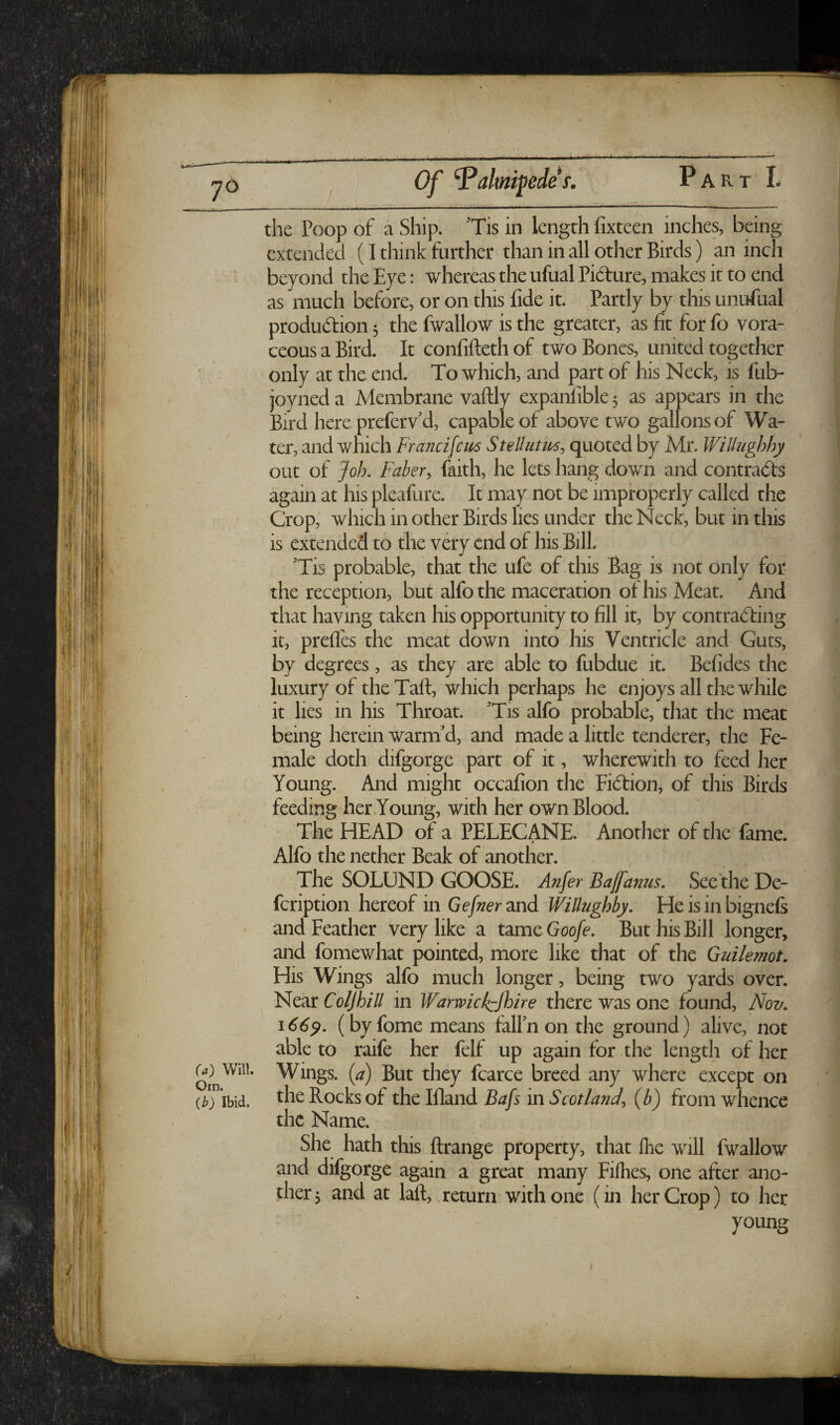 M Will. Orn. (b) Ibid. the Poop of a Ship. 'Tis in length fixteen inches, being extended (I think further than in all other Birds) an inch beyond the Eye: whereas the ufual Pidture, makes it to end as much before, or on this fide it. Partly by this unufual produdion 5 the fwallow is the greater, as fit for fo vora- ceous a Bird. It confifteth of two Bones, united together only at the end. To which, and part of his Neck, is fub- joyned a Membrane vaftly expanfible 5 as appears in the Bird here preferv'd, capable of above two gallons of Wa¬ ter, and which Francifcm SteUiitm, quoted by Mr. WiUughhy out of Job, Faber., faith, he lets hang down and contrads again at his pleafure. It may not be improperly called the Crop, which in other Birds lies under the Neck, but in this is extended to the very end of his Bill. Tis probable, that the ufe of this Bag is not only for the reception, but alfothe maceration of his Meat. And that having taken his opportunity to fill it, by contrading it, prefles the meat down into his Ventricle and Guts, by degrees, as they are able to fubdue it. Befides the luxury of the Taft, which perhaps he enjoys all the while it lies in his Throat. Tis alfo probable, that the meat being herein warm’d, and made a little tenderer, the Fe¬ male doth difgorge part of it, wherewith to feed her Young. And might occafion the Fidion, of this Birds feeding her .Young, with her own Blood. The HEAD of a PELECANE. Another of the fame. Alfo the nether Beak of another. The SOLUND GOOSE. Anfer Bafamis, See the De- feription hereof in Gefner and Willughby. He is in bignefs and Feather very like a tame Goo/e. But his Bill longer, and fomewhat pointed, more like that of the Guilemot. His Wings alfo much longer, being two yards over. Near Coljhill in Warwickjbire there was one found, Nov. i66y. (by fome means falPn on the ground) alive, not able to raife her felf up again for the length of her Wings, (a) But they fcarce breed any where except on the Rocks of the Ifland Bafs in Scotland., {b) from whence the Name. She hath this ftrange property, that Ihe will fwallow and difgorge again a great many Fifties, one after ano¬ ther 5 and at laft, return with one (in her Crop) to her young