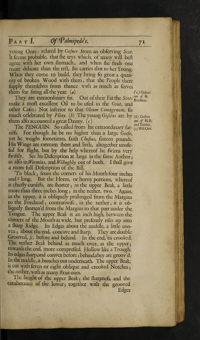 yoUng Ones: related by Gefner from an obferving Scot: It feems probable, that Ihe trys which, of many will belt agree with her own ftomach, and when flie finds one more delicate than the reft, ftie carries that to her Young. When they come to build, they bring fo great a quan¬ tity of broken Wood with them, that the People there fupply themfelves from thence with as much as ferves them for firing all the year. (^) . (dJGeCnQt They are extraordinary fat. Out of their Fat the Scots BoetMu^’ make a moft excellent Oil to be ufed in the Gout, and other Cafes: Not inferior to that Oleuvi Comagenuvi, fo much celebrated by ?Uny, (/5>) The young Gojlins are by (b) Gefner them alfo accounted a great Dainty. (c) h. b, ^ The PENGUIN. So called from his extraordinary fat- (cfwu^oTnV nefs. For though he be no higher than a large Goofe, yet he weighs fometimes, faith Clufius, fixteen pounds. His Wings are extream (hbrt and little, altogether unufe- flil for flight, but by the help whereof he fwims very fwiftly. See his Defeription at large in the fame Author 5 as alfo in Wormius, and Willughby out of both. I (ball give a more full Defeription of the Bill. 'Tis black 5 from the corners of his Mouth four inches and ^ long. But the Horns, or horny portions, whereof it chiefly confifts, are Ihorter 5 in the upper Beak, a little more than three inches long 5 in the nether, two. • Again, in the upper, it is obliquely prolonged from the Margins to the Forehead 5 contrariwife, in the nether, it is ob¬ liquely Ihorten d from the Margins to that part under the Tongue. The upper Beak is an inch high, between the corners of the Mouth as wide, but prefently rifes up into a fliarp Ridge. Its Edges about the middle, a little con¬ vex 3 about the end, concave and lharp.. They are double Grooved, jc, before and behind. In the end,Yis crooked. The nether Beak behind as much over, as the upper 3 towards the end, more comprefled. Hollow^ like a Trough. Its edges fharp,and convex before 3 behind,they are groov'd. In the middle, it bunches out underneath. The upper Beak, is cut with feyen or eight oblique and crooked Notches 3 the nether, with as many ftrait ones. The height of the upper Beak 3 the fharpnefs, and the cxtuberance of the lowers together with the grooved Edges