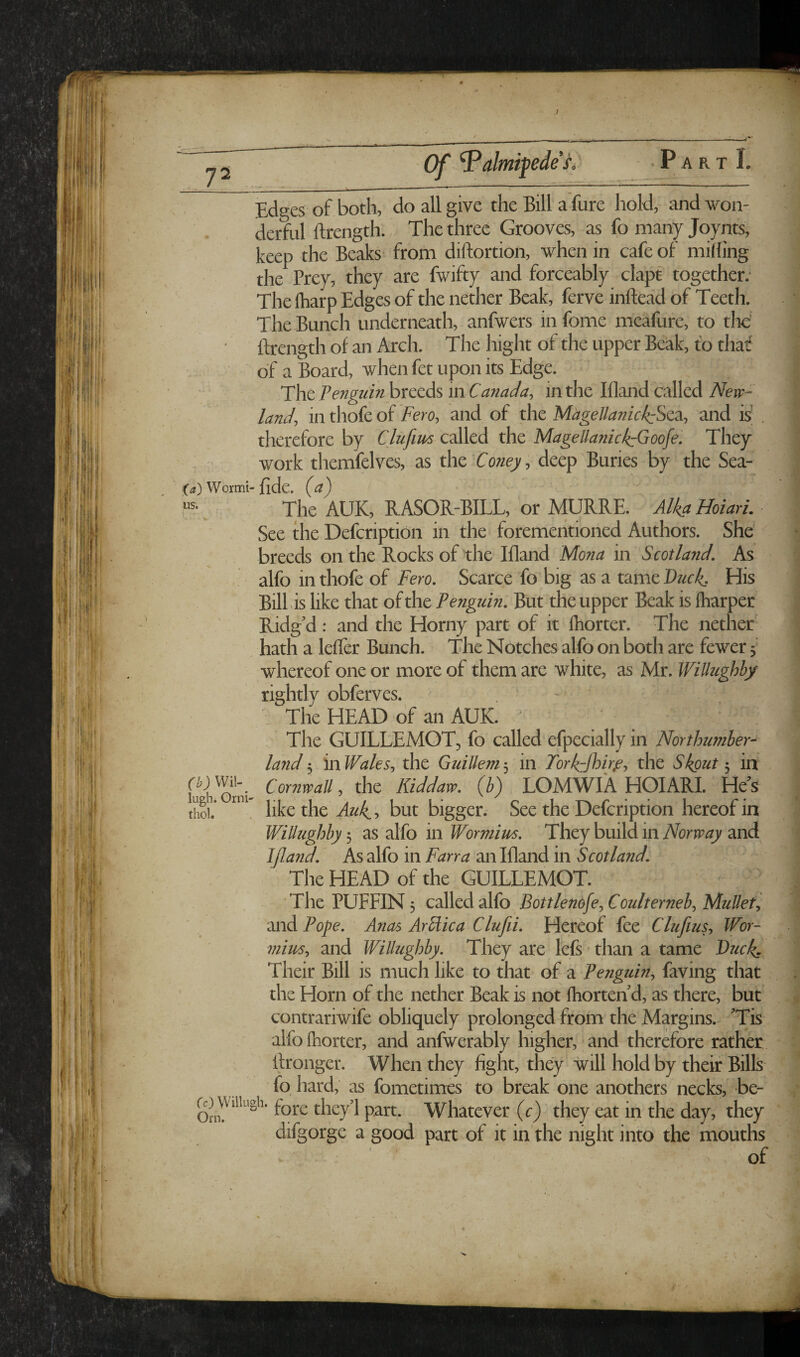 .. . 4'*' Edges of both, do all give the Bill a fure hold, and won¬ derful ftrength. The three Grooves, as fo many Joynts, keep the Beaks from diftortion, when in cafe of mihing the Prey, they are fwifty and forceably clapt together; The lharp Edges of the nether Beak, ferve inftead of Teeth. The Bunch underneath, anfwers in fome meafurc, to the’ ■ ftrength of an Arch. The hight of the upper Beak, to thaf of a Board, when fet upon its Edge. The Pe7iguin breeds in Canada^ in the Illand called ISJevp- land-, in thofe of fero, and oi the Magellanicand is . therefore by Clufin^ called the Magellanick^Goofe. They work themfelves, as the deep Buries by the Sea- {a) Wormi- ftdc. {a) r* The AUK, RASOR-BILL, or MURRE. Alka HoiarL See the Defeription in the foremehtioned Authors. She breeds on the Rocks of the Iftand Mona in Scotland. As alfo in thofe of Fero. Scarce fo big as a tame Pluck, His Billis like that Penguin. But the upper Beak is lharper Ridg’d: and the Horny part of it ftiorter. The nether' hath a leffer Bunch. The Notches alfo on both are fewer 5 whereof one or more of them are white, as Mr. WiUughby rightly obferves. The HEAD of an AUK. The GUILLEMOT, fo called efpecially in Northumher- land\nWales., the Guillemin Torkzjhir^-, the Skout in kh™ni- Kiddaw. (b) LOMWIA HOIARL He’s thoi.* like the Auk,, but bigger. See the Defeription hereof in WiUughby'^ as alfo in Wormius. They build in and I(land. As alfo in Farr a an Iftand in Scotland. The HEAD of the GUILLEMOT. The VUPPWcdllcdzKo Bottlenofe^Coulterneb, Mullet, and Pope. Anas ArWica Clufii. Hereof fee Clufius, Wor- mites, and WiUughby. They are lefs ^ than a tame Tuckr Their Bill is much like to that of a Penguin, faving that the Horn of the nether Beak is not fhorten d, as there, but contrariwife obliquely prolonged from the Margins. ’Tis alfolhorter, and anfwerably higher, and therefore rather ftronger. When they fight, they will hold by their Bills fo hard, as fometimes to break one anothers necks, be- g) Wiiiugh. they 1 part. Whatever {c) they eat in the day, they difgorge a good part of it in the night into the mouths