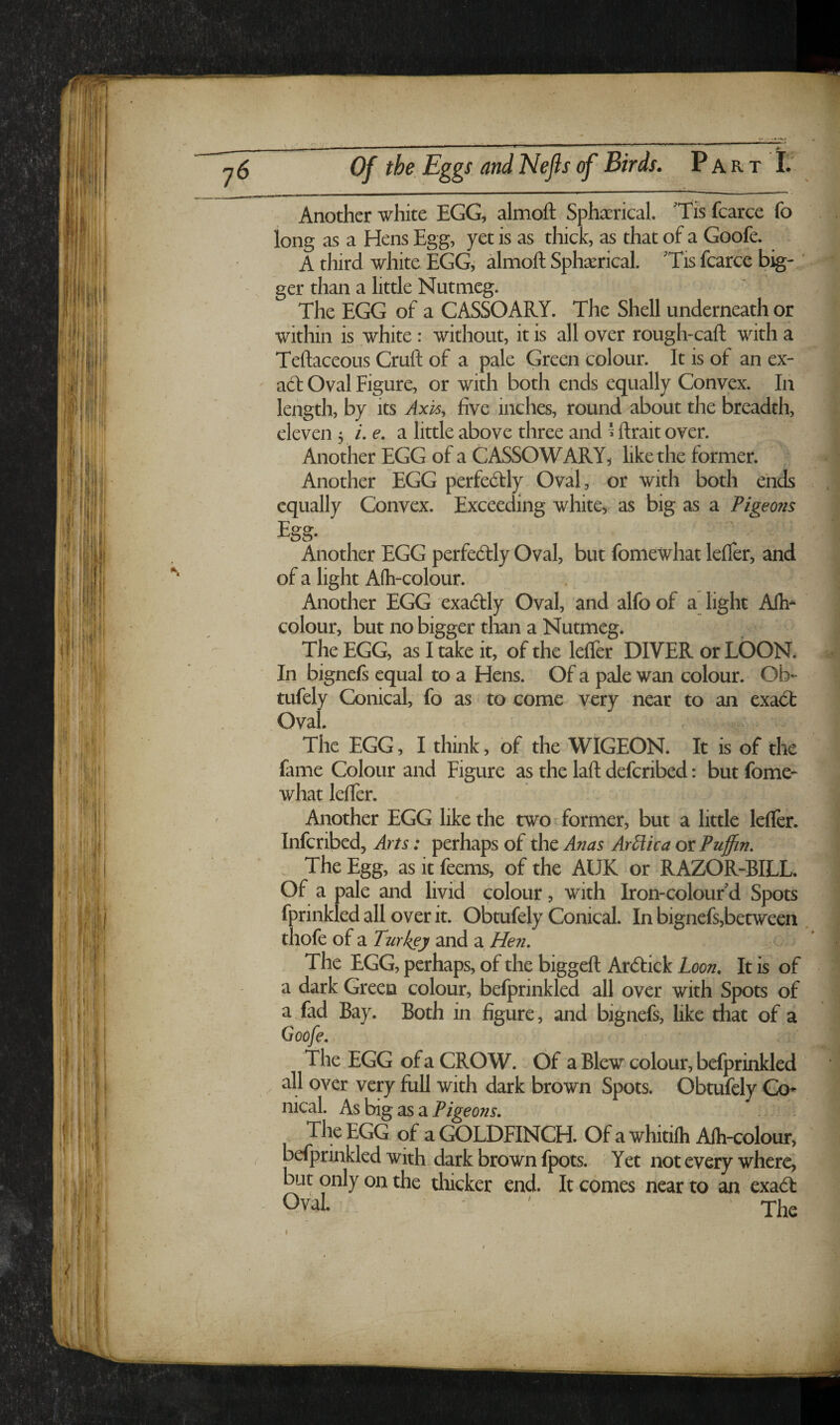 Another white EGG, almoft Sphaerical Tisfcarce fo long as a Hens Egg, yet is as thick, as that of a Goofe. A third white EGG,* almoft Spherical. 'Tis fcarce big- ’ ger than a little Nutmeg. The EGG of a CASSOARY. The Shell underneath or within is white : without, it is all over rougRcaft with a Another EGG of a CASSOWARY^ like the former. Another EGG perfectly Oval, or with both ends equally Convex. Exceeding white^^ as big as a Pigeons Egg* Another EGG perfectly Oval, but fomewhat lefter, and of a light A(h-colour. Another EGG exadlly Oval, and alfo of a light Aih- colour, but no bigger than a Nutmeg. The EGG, as I take it, of the lefter DIVER or LOON. In bignefs equal to a Hens. Of a pale wan colour. Ob- tufely Conical, fo as to come very near to an exa^l Oval. The EGG, I think, of the WIGEON. It is of the fame Colour and Figure as the laft defcribed: but fome¬ what lefter. Another EGG like the two ^ former, but a little lefter. fprinkledall overit. Obtufely Conical. In bignefs,between thofe of a Turkey and a, Hen, The EGG, perhaps, of the biggeft Ardick Loon, It is of a dark Green colour, befprinkled all over with Spots of a fad Bay. Both in figure, and bignefs, like tliat of a Goofe. The EGG of a CROW. Of a Blew colour, befprinkled