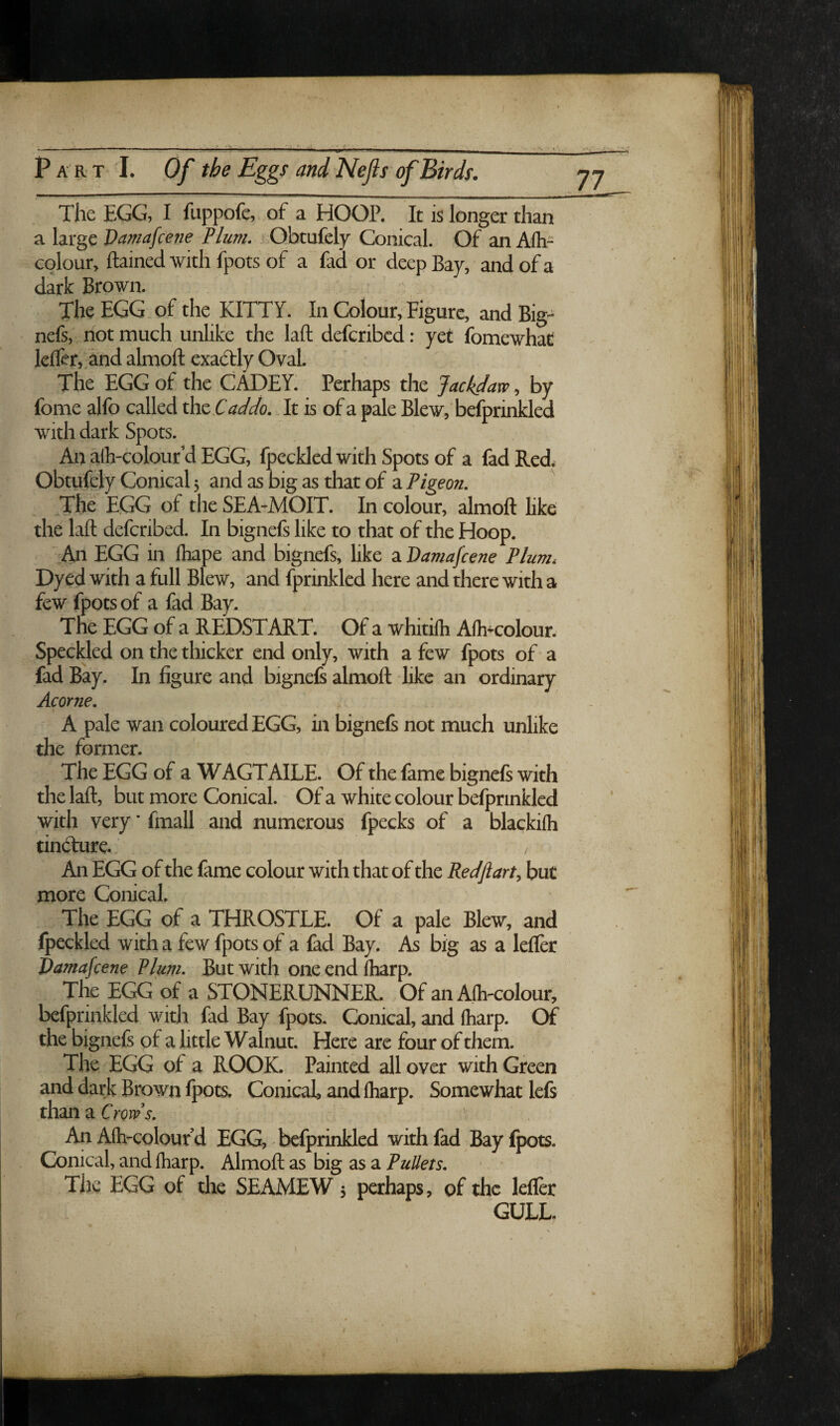 The EGG, I fuppofc, of a HOOP. It is longer than a large Vamafcene Pluvi. Obtufely Conical. Of an Alh= colour, ftained with fpots of a fad or deep Bay, and of a dark Brown. The EGG of the KITTY. In Colour, Figure, and Big- nefs, not much unlike the laft defcribed: yet fomewhat lci&r,:and almoft exadtly Oval. The EGG of the CADEY. Perhaps the Jackdaw, by fome alfo called the Caddo. It is of a pale Blew, befprinkled with dark Spots. An alh-colour’d EGG, fpeckled with Spots of a fad Red. Obtufely Conical; and as big as that of a Pigeon. The EGG of the SEA-MOIT. In colour, almoft like the laft defcribed. In bignefs like to that of the Hoop. An EGG in lhape and bignefs, hke a Damafcene Plum, Dyed with a full Blew, and fprinklcd here and there with a few fpotsof a fad Bay. The EGG of a REDSTART. Of a whitilh Alh-colour. Speckled on the thicker end only, with a few fpots of a fad Bay. In figure and bignefs almoft like an ordinary Acorne, A pale wan coloured EGG, in bignefe not much unlike the former. The EGG of a WAGTAILE. Of the fame bignefi with the laft, but more Conical. Of a white colour befprinkled with very * fmall and numerous fpecks of a blackifli tindfture., An EGG of the fame colour with that of the Redftarty but more Conical. The EGG of a THROSTLE. Of a pale Blew, and fpeckled with a few fpots of a fad Bay. As big as a lelfer Vamafcene Vlian. But with one end fharp. The EGG of a STONERUNNER. Of an Afti^olour, befprinkled with fad Bay fpots. Conical, and fliarp. Of the bignefs of a little Walnut. Here are four of them. The EGG of a ROOK. Painted all over with Green and dark Brown fpots. Conical, and ftiarp. Somewhat lefs than a Crows, An Afti-colour d EGG, befprinkled with fad Bay fpots. Conical, and ftiarp. Almoft as big as a Pullets, The EGG of the SEAMEW 5 perhaps, of the lefler GULL