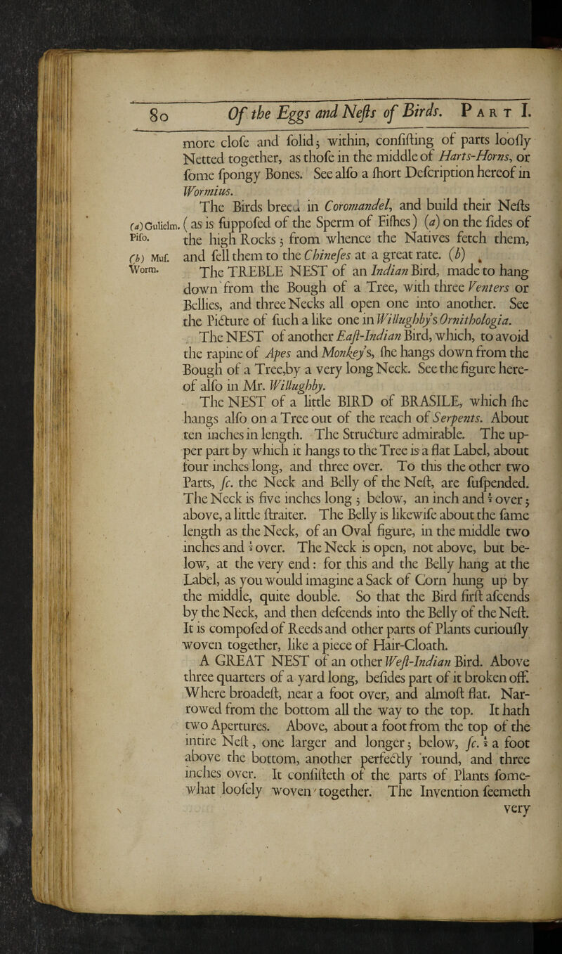 V 8o Of the Eggs and Nejis of Birds. Part I. ^ s ^--------- ' -- more clofe and folid 5 within, confifting of parts loofly Netted together, as thofe in the middle of Harts-Horns, or fome fpongy Bones. See alfo a fhort Defeription hereof in Wormim, The Birds breed in CofoviandeU and build their Nells r^)GuUeim. (as is fuppofed of the Sperm of Fifhes) (^) on the fides of pifo. Rocks j from whence the Natives fetch them, Ch) Muf. and fellthemto theC/:?/we/e’,? at a great rate, (b) ^ TREBLE NEST of an Indian Bird, made to hang down from the Bough of a Tree, with three Te/z/m or Bellies, and three Necks all open one into another. See the Pidlure of fuch a like one in Willugbbys Ornithologia, The NEST of another Eafl-Indian Bird, which, to avoid the rapine of Apes and Monkeys Ihe hangs down from the Bough of a Tree,by a very long Neck. See the figure here¬ of alfo in Mr. WiUughby. The NEST of a little BIRD of BRASILE, which Ihe hangs alfo on a Tree out of the reach of Serpents. About ten inches in length. The Structure admirable. The up¬ per part by which it hangs to the Tree is a flat Label, about four inchesiong, and three over. To this the other two Parts, fc. the Neck and Belly of the Nell, are fufpended. The Neck is five inches long 5 below, an inch and ^ over 5 above, a little ftraiter. The Belly is likewife about the fame length as the Neck, of an Oval figure, in the middle two inches and ^ over. The Neck is open, not above, but be¬ low, at the very end: for this and the Belly hang at the Label, as you would imagine a Sack of Corn hung up by the middle, quite double. So that the Bird firft afeends by the Neck, and then defeends into the Belly of the Neft. It is compofedof Reeds and other parts of Plants curioufly woven together, like a piece of Hair-Cloath. A GREAT NEST of an other Wefi-Indian Bird. Above three quarters of a yard long, befides part of it broken off. Where broadeft, near a foot over, and almoft flat. Nar¬ rowed from the bottom all the way to the top. It hath ^ two Apertures. Above, about a foot from the top of the intire Neft, one larger and longer 5 below, fc. 3 a foot above the bottom, another perfectly ‘round, and three inches over. It confifteth of the parts of Plants fome- what loofely woven ^together. The Invention feemeth very