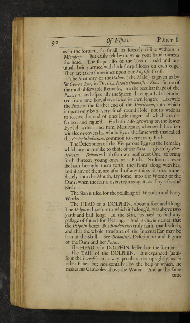 ' OfFijhef: . Part 1. as in the former j fo fmall, as fcarcely vifible without a Micro fcope: But eafily felt by drawing your hand towards the head. The ftiape alfo of the Teeth is odd and un- ufual, being armed with little lharp Hooks on each edge. ,Xhey are taken fometimes upon our Coaft. ^ The Anatomy of the ( the Male) IS given us by in Dr. ChuvlctoTi s 'OtiojjictjiiCm Zoic» Some of ' . ' , the moll obfervable Remarks, are the peculiar lhape of the PctncTCHS-) and efpecially the Spleen, having a Label produ- , , ced from one fide, above twice its own length. Likewife I / the Purfe at the farther end of the Duodenum, into which ' it opens only by a very fmall round Hole, not fo wide as ^ to receive the end of ones little finger: all which are de- fcribed and figur’d. He hath alfo gpwing on the, lower Eye-lid, a thick and firm Membrane, w herewith he often w^inkles or covers his whole Eye: the fame with that called the Periophthalmium, common to very many Birds. The Defcription of the Viviparous Eggs in the Female 5 which are not unlike to thofe of the IS given by I; deletim. BeUonius hath feen an indifferent One, to bring forth thirteen young ones at a Birth. So foon as ever ' > Ihe hath brought them forth, they fwim' along with her, and if any of them are afraid of any thing, it runs imme¬ diately into the Mouth, fay fome, into the Womb of the  Dam: when the fear is over, returns again, as if by a fecond Birth. • V The Skin is ufed for the polilhing of Wooden and Ivory Works. ' ' ■ ; The HEAD of a DOLPHIN, about a foot and ^ long. .' - ' The Dolphin therefore to which it belong’d, was above two yards and half long. In the Skin, ’tis hard to find any , . paffage of found for Hearing. And Ariflotle denies that the Dolphin hears. But Rondeletius truly faith, that he doth, and that the whole flrudlure of the Internal Ear may be . feen in the Skull. See BeUonius s Defcription and Figure of the Dam and her to. The HEAD of a DOLPHIN, leffer than the former. ' The TAIL of the DOLPHIN. It is expanded (as al¬ fo in the Porpefs) in a way peculiar, not uprightly, as in other Filhes, but horizontally: by the help of which, he makes his Gamboles above the Water. And at the fame time ■V