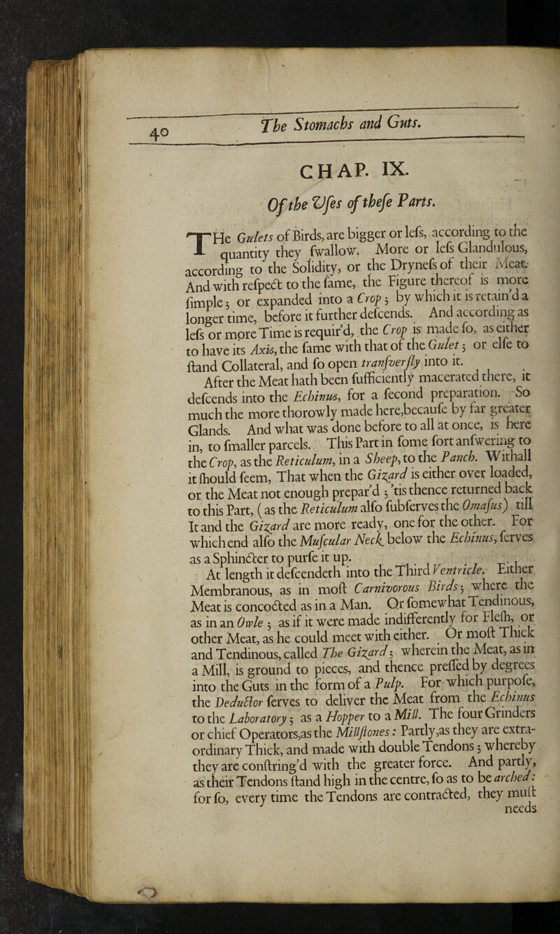 T » . -'1 ' Of the Vfes of thefe Tarts, He Gulets of Birds, are bigger or lefs, according to the — quantity they fwallow. More or lefs Glandulous, according to the Solidity, or the Drynefs of their Meat. And with refpeft to the fame, the Figure thei^eof is more fimple; or expanded into a Crop; by whicli it is retain d a longer time, before it further defeends. And according as lefs or more Time is requir’d, the Crop is made fo, as either to have its Axk,t\\c fame with that of theGukt; or elfe to Hand Collateral, and fo open into It. After the Meat hath been fufficiently macerated there, it defeends into the Echivm, for a fecond preparation. So much the morethorowly made here,becaufe by far greater Glands And what was done before to all at once, is here in, to finaller parcels. This Part in fome fort anfwering to the Crop, as the Reticulum, in a Sheep, to the Ranch. Withall it Ihould feem. That when the Gizard is either over loaded, or the Meat not enough prepar’d ; ’tis thence returned back to this Part, (as the Reticulum alfo fubferves the Omafus) till It and the Gizard 3xe more ready, one for the other. For which end alfo the Mufcular Neck, below the Echinus, ierves as a Sphindler to purfe it up. At length It defeendeth into the Third Ve?ttricle, Either Membranous, as in moft Carnivorous Birdswhere the Meat is conco6ted as in a Man. Qr fornewhat Tendinous, as in an Owle 3 as if it were made indifferently for other Meat, as he could meet with either. Or molt Thick and Tendinous, called The Gizard 5 wherein the Meat, as in a Mill, is ground to pieces, and thence prelfed by degrees into the Guts in the form of a Pulf. For which purpofe, the Bedudor ferves to deliver the Meat from the Echmus to the Laboratory 3 as a Hoffer to a Mill. The four Grinders or chief Operators,as the Millftones: Partly,as they are extra¬ ordinary Thick, and made with double Tendons 3 whereby they are conftring’d with the greater force. And partly, as their Tendons Hand high in the centre, fo as to be arched: forfo, every time the Tendons are contra£ted, they mult