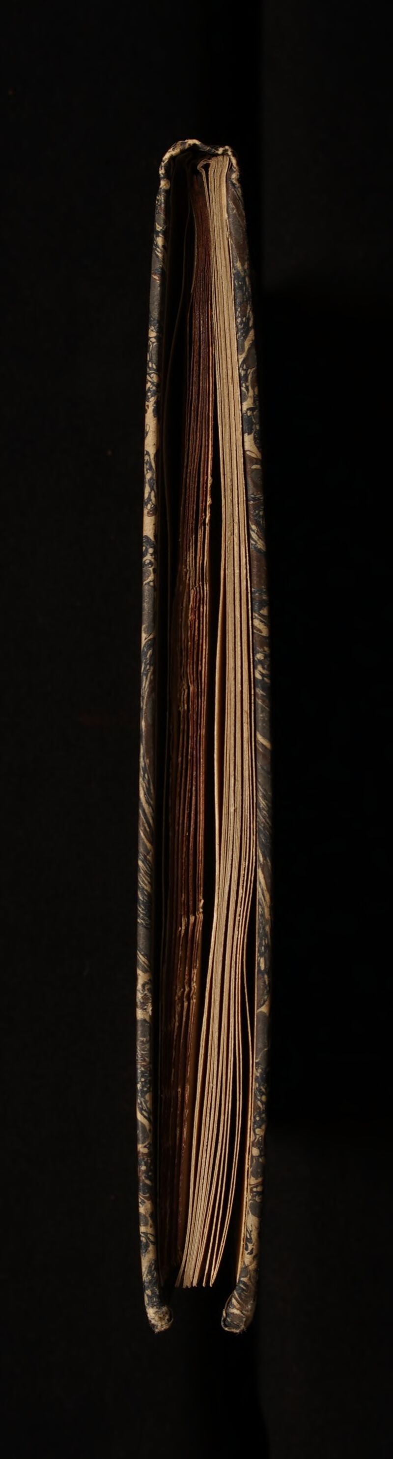 No text description is available for this image