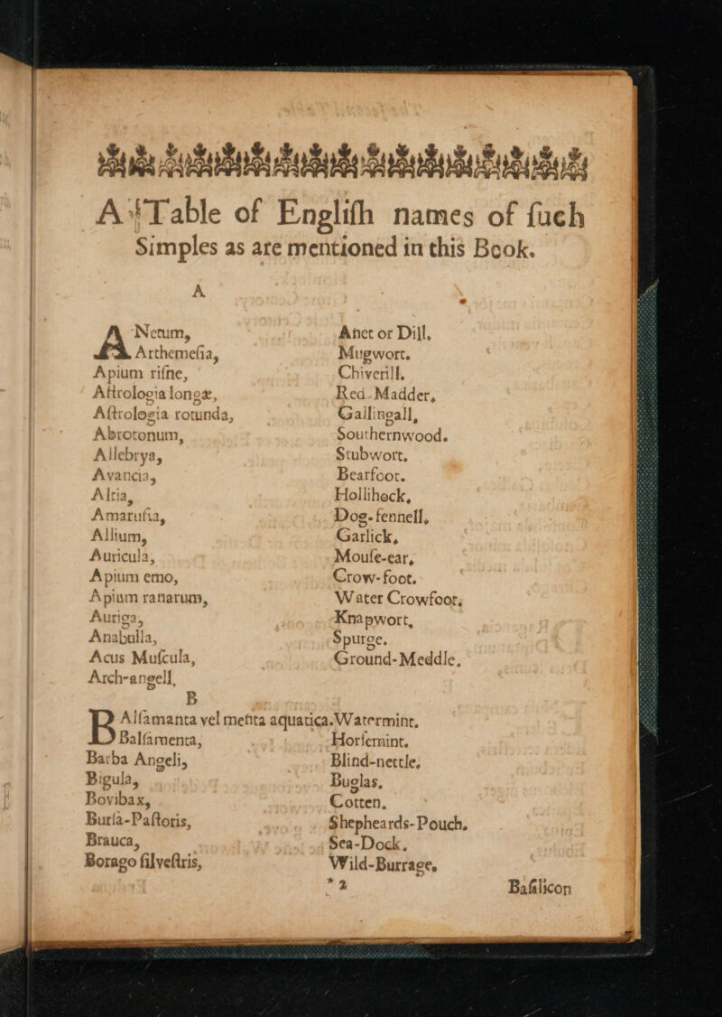 “yy yore at AR Suku A 4 Netum, s Arthemefia, Apium rifne, Aftrologia k new, Aftrologia rot unda Abrotonum, Allebr ya, frit Amarut fia, Allium, Auricula, Apium emo, Apium ranarum, Auriga, eae Acus Mufcula, Arch-a nN ge I} B Anet or Dill, Mugwort. Chiverill. Red. Madder, G alli reall, Southernw ead: Stubwort, Bearfoot. Holliheck, Dog.-fennell, Garlick, Moutle-ear, Crow- foot. Water Crowfoor, Knapwort, Bere. Ground-Meddle, Balfamenta, Barba An celi, Bigula, Boviba: Ky Burla-Paftoris, Brauca, Boraco filyeftris, Horlemint, Blind-nettle, Buglas, Cotten. Sea-Dock. Wild-Burrage, Bafalicon