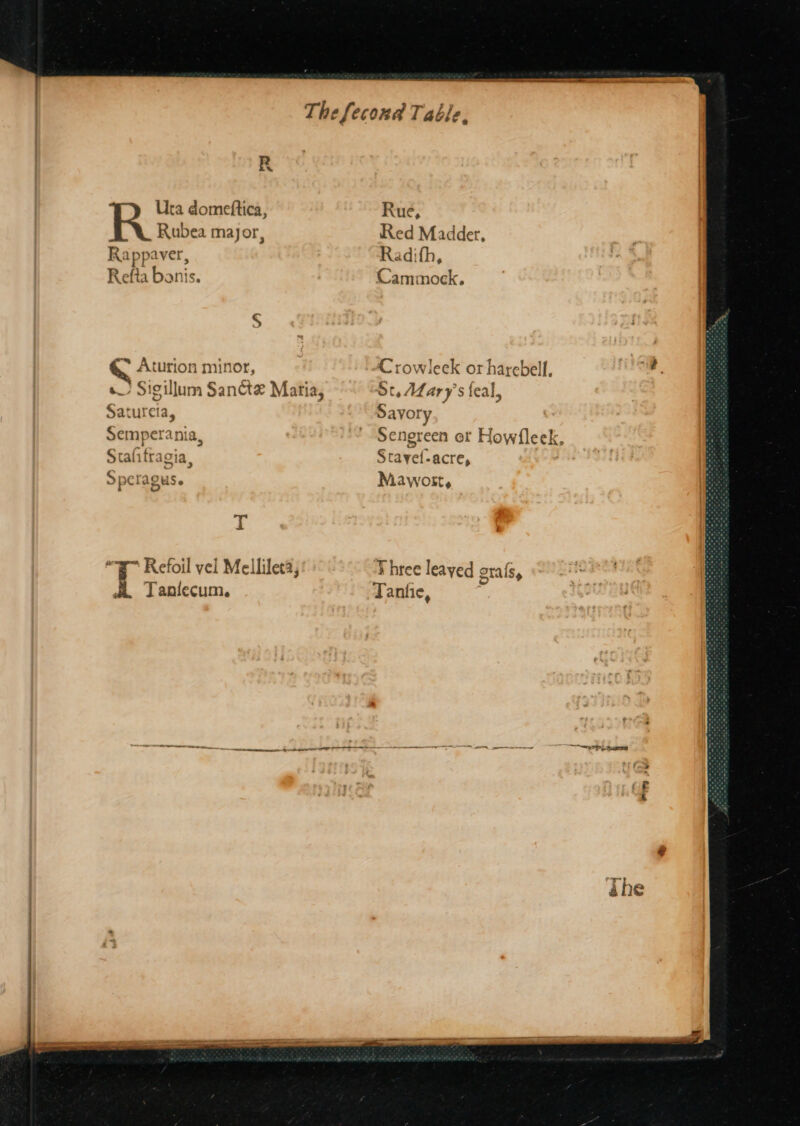 R Ura domeftica, Rubea major, Ra ppaver, Refta banis. S f~ Aturion minor, s Sigillum Sane Matia, Satureia, Semperania, —— Refoil vel Mellileta, i Tanlecum. Rue, Red Madder, Radifh, Cammock, Savory Stavef-acre, Mawotrt,