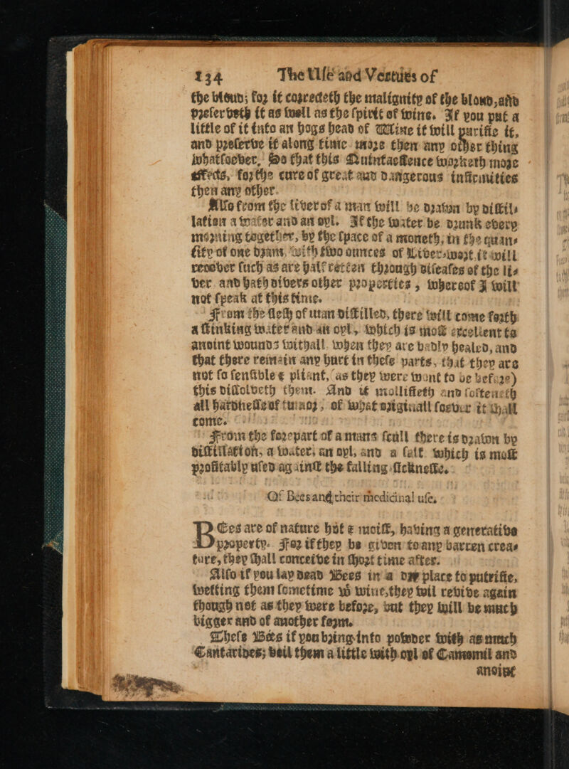 134 The Ue and Verti¢s of the bisun; fo if cogrerteth the malignity of the blown,aitd preferbsth tf as tuell as tbe (pivtt of twine. Ff you pué a little of it tufo at bogs ead of Wine if will purific é¢, and prelerbe tf along ftutc. 938 Chen any over thing indatfoober, So Chal thts Rutntacheuce workerh mage effects, fozthe cure of great aay Dangerous tnficinities then any other Mlfo from fhe {iverof a mean will be Dpaten bp difktls lation atnater aid atopl. Jf the worter be sunk eberp miszning Cegether, by the fpace of a mioneth; tr foe oan fig of one Dzant, With fo ounces of Wider inaze¢¢ iil recover fuch as are balfretten Cheough vifeates af the lis ber. and Hath atbets ofber properties , whereof ZF wilt’ not {peak af this finis. From the leh of utan HiCillen, there tilt come forth a finking water anda opl, inbich is wok excctient fg anoint wounds toitpall. when they are badly healed, and that Chere reirtatit any bare tn thele yarts, raat they are not fo fen&amp;blee pltsnf, as they were wont fo be bef 22) this diftolbety thet. And c€ wollifiety and foftensth all Hardthelizef fuino2, of what saigtuall foswer it thall come. ©) row the forcpart of antans feull there ts praton by Ditilation, a water, at opl, and a fall. which is mokk profitably uled ag iin® the falling ficknelfe. Qf Beesanétheir' medicinal uf, Ges ave of nature hot € moill, havin a werrerative SJ property. 3fo2 iftbep be iver toanp barren creas ture, (oep tall concetve in Mho2t time after. Aifo if pou lay dead Wees ina ow place to putrifie, ivetfing then (ometime w wine,thep toll revive again fhough not as they were before, out they iuill be much bigaex and of another fag. | WDhele Wers if poubzsing-into potwner Mieh as nmi Cantarines; bell them alittle with. opl of Canwmmil and aNsipe